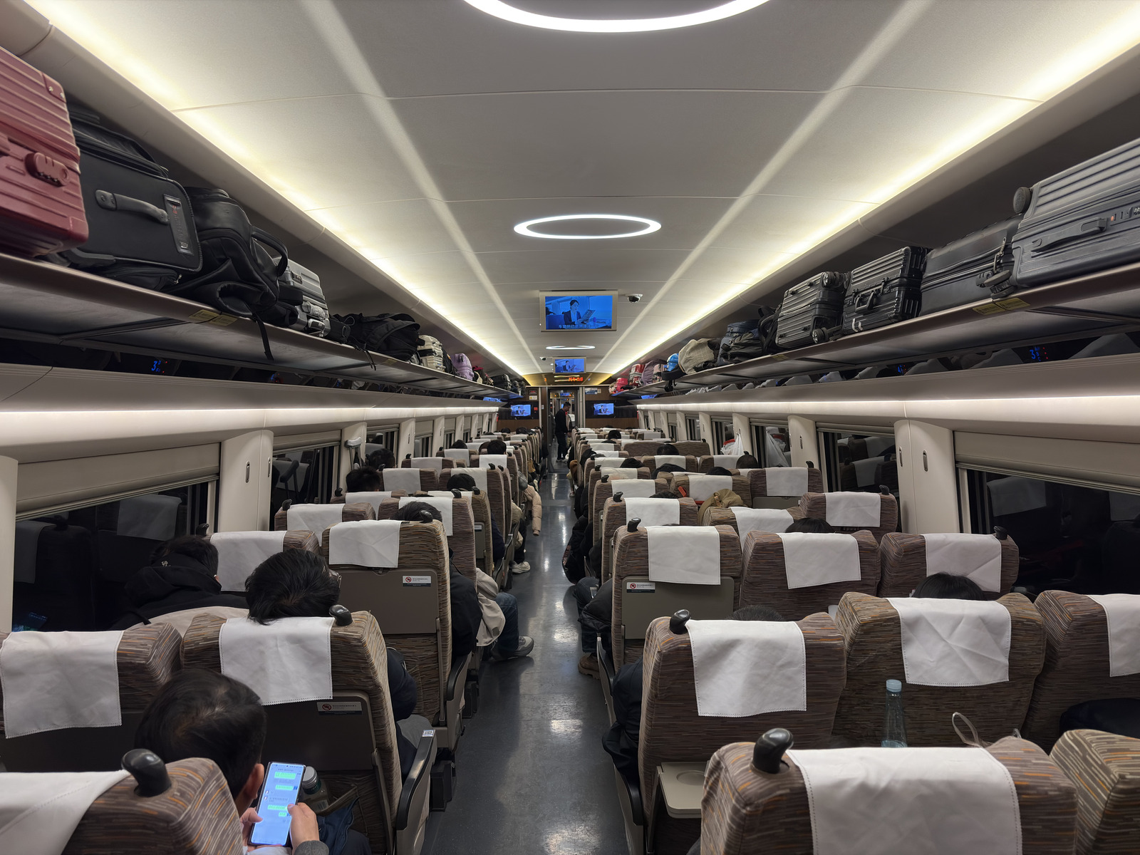 Picture China train 2026-01 5 - Sightseeing train