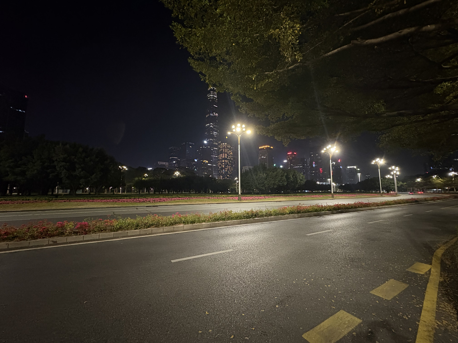 Picture China Shenzhen 2026-01 26 - Photographers Shenzhen