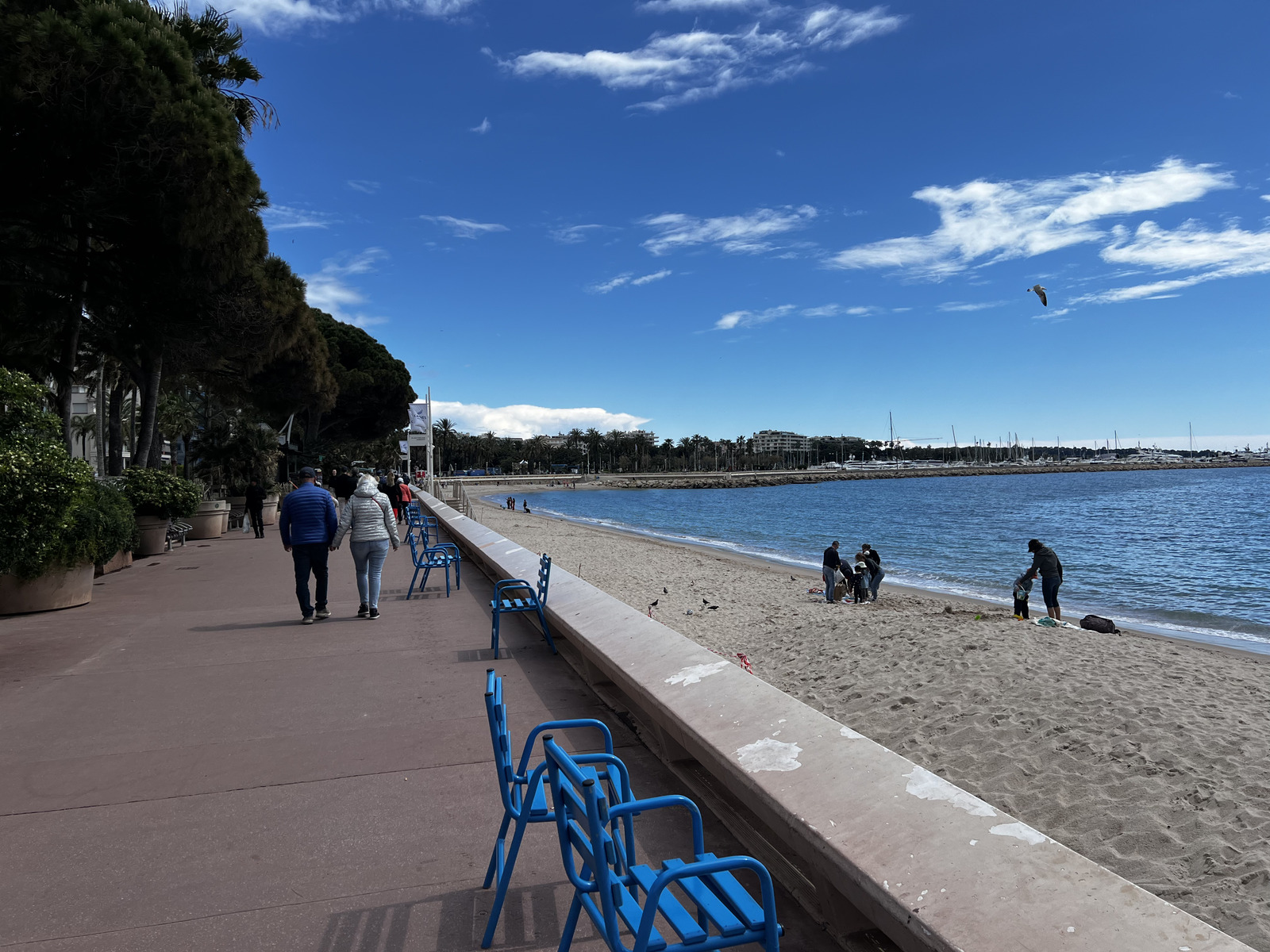 Picture France Cannes 2024-04 20 - Tourist Cannes