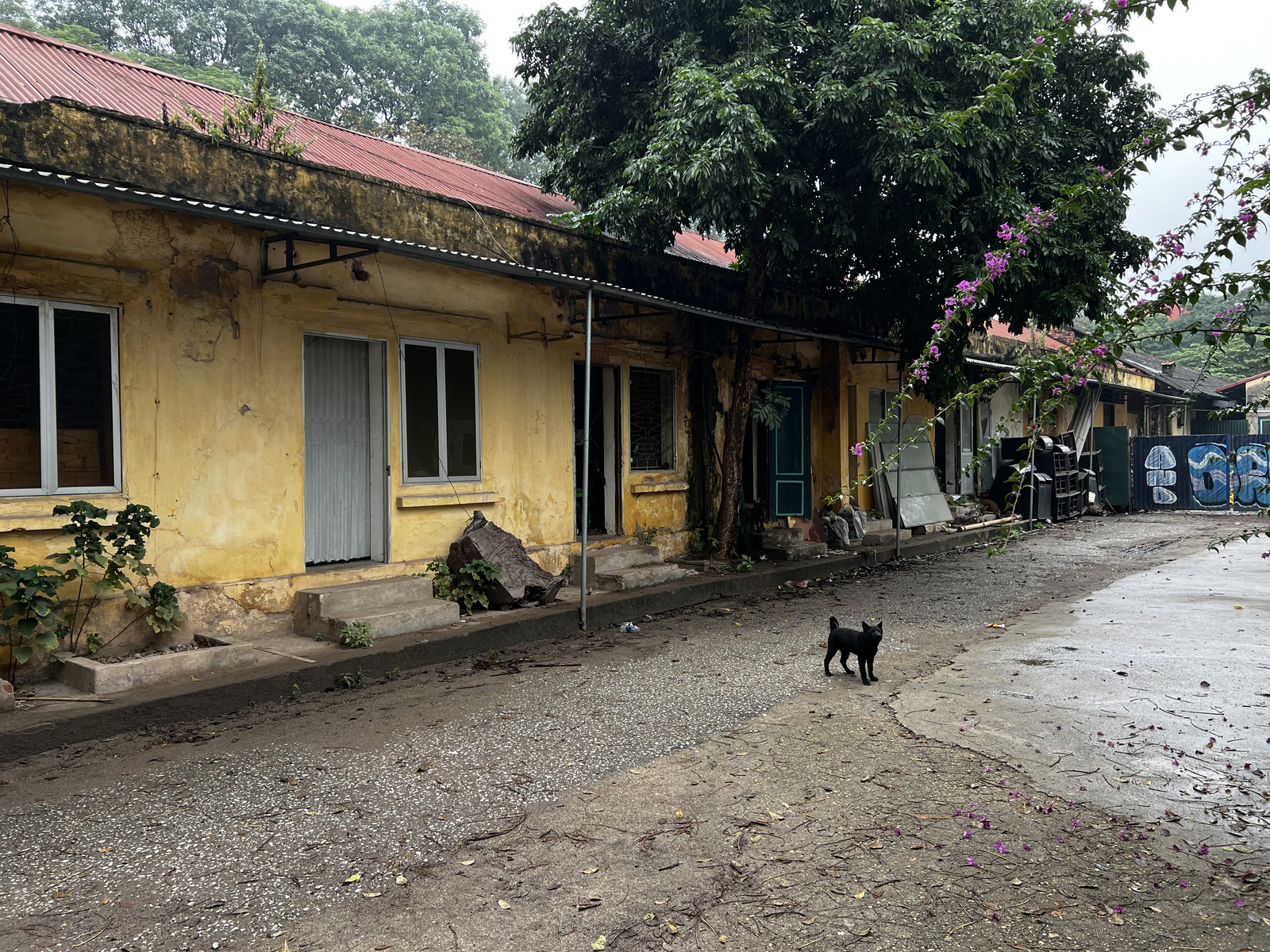 Picture Vietnam Hanoi Thang Long Citadel 2024-01 33 - Photos Thang Long Citadel