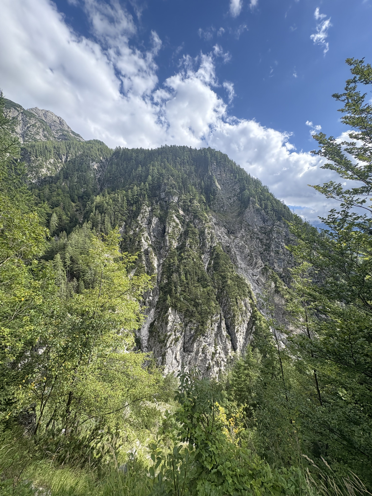 Picture Slovenia Soca River 2025-09 31 - Photos Soca River