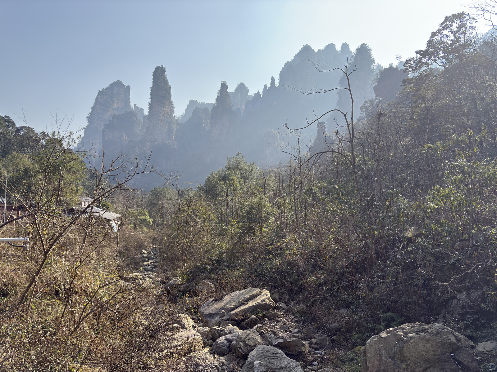 Picture China Zhangjiajie Tianzi Mountrain 2026-01 210 - Car Rental Tianzi Mountrain