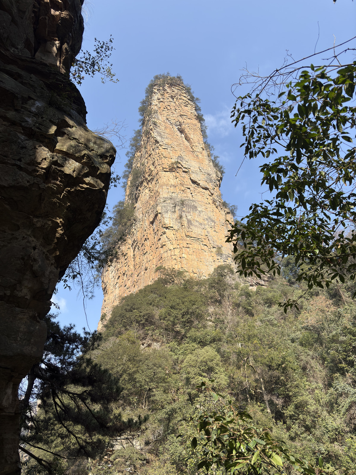 Picture China Zhangjiajie Tianzi Mountrain 2026-01 101 - View Tianzi Mountrain