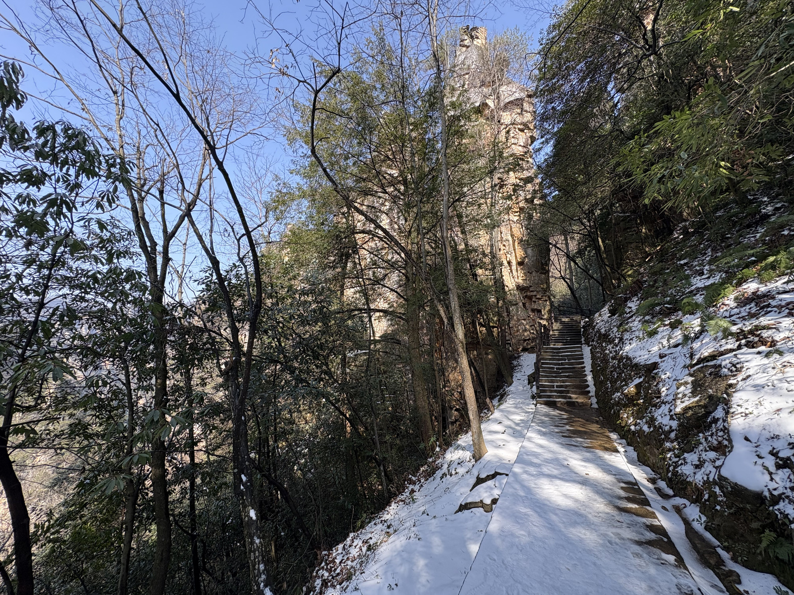 Picture China Zhangjiajie Tianzi Mountrain 2026-01 318 - Discover Tianzi Mountrain