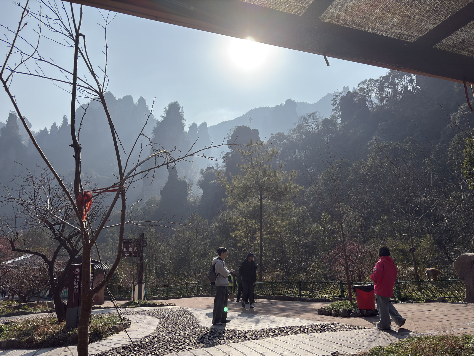 Picture China Zhangjiajie Tianzi Mountrain 2026-01 122 - Views Tianzi Mountrain