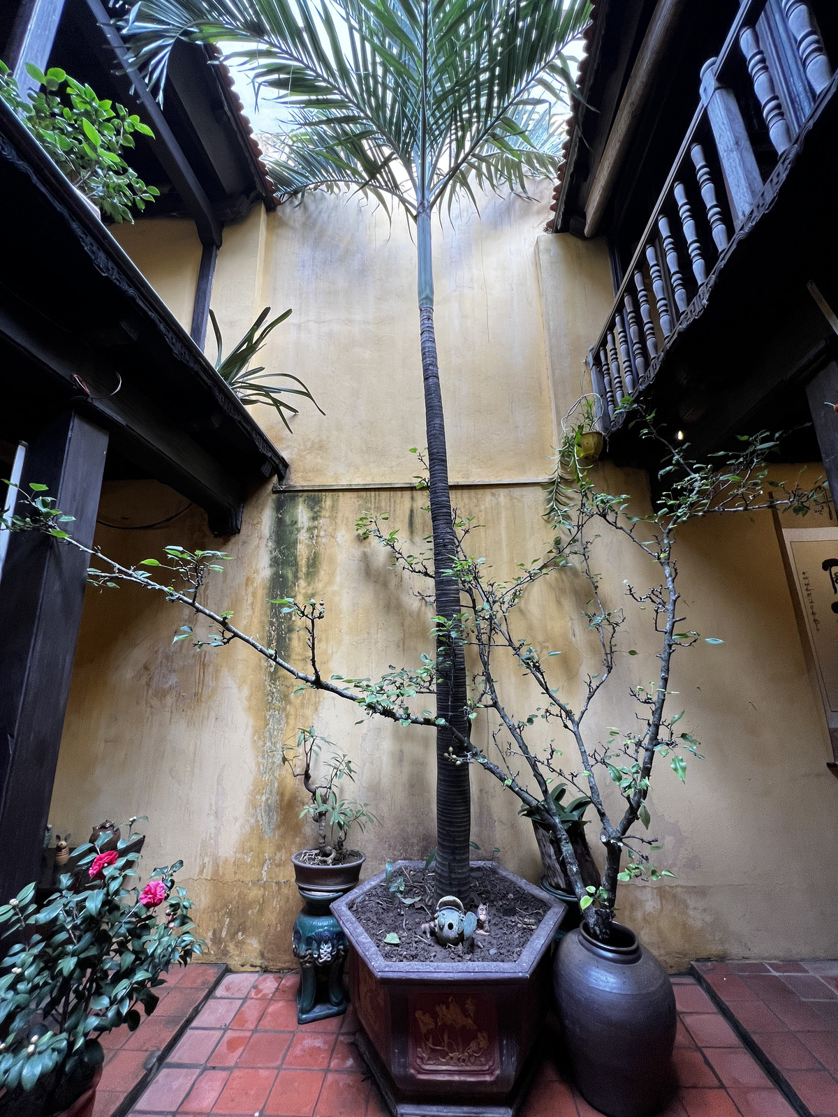 Picture Vietnam Hanoi Heritage House 2024-01 27 - Road Heritage House