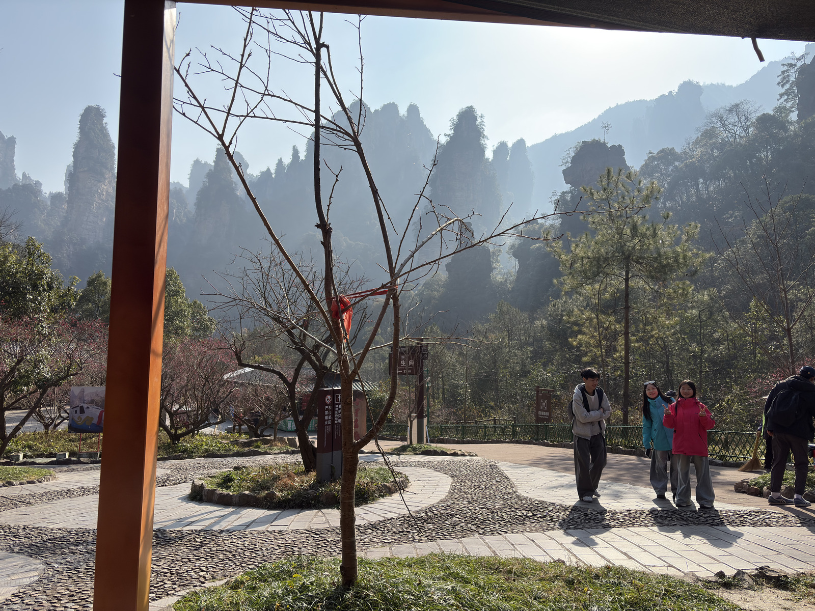 Picture China Zhangjiajie Tianzi Mountrain 2026-01 314 - Sight Tianzi Mountrain