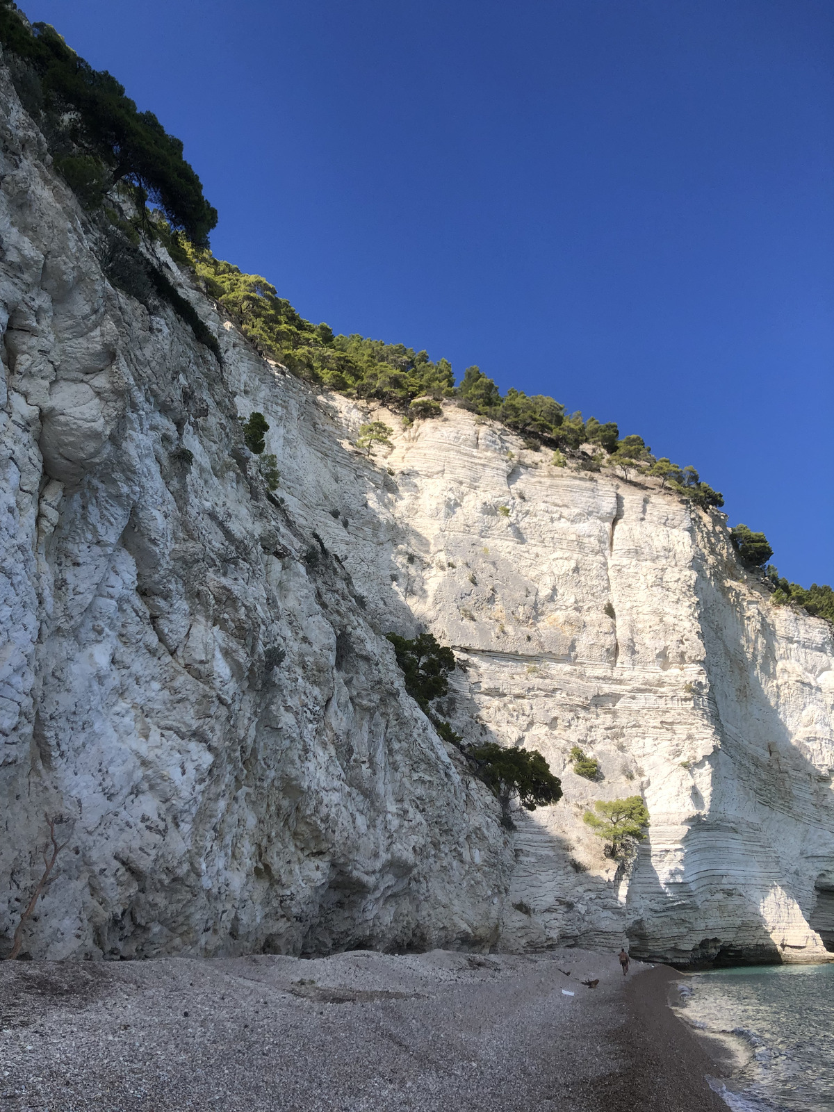 Picture Italy Gargano 2024-09 24 - Road Gargano