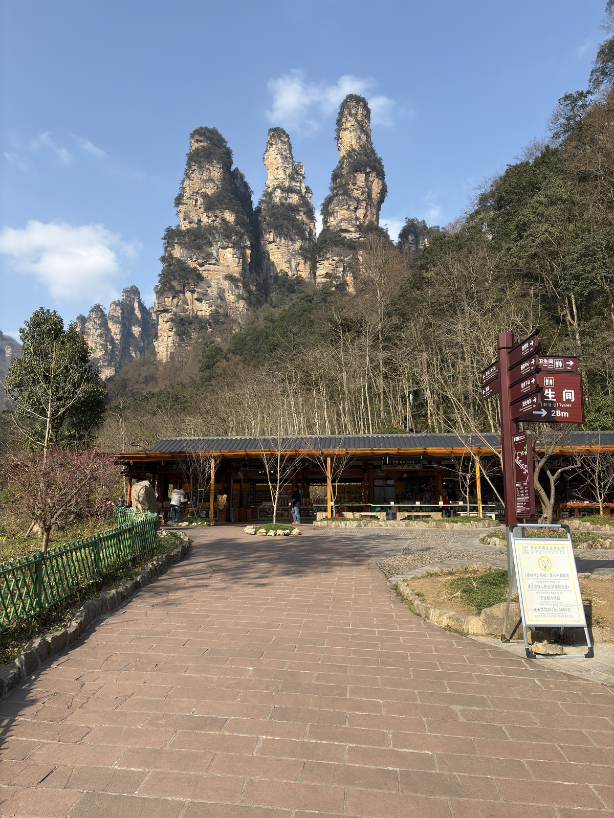Picture China Zhangjiajie Tianzi Mountrain 2026-01 234 - Perspective Tianzi Mountrain