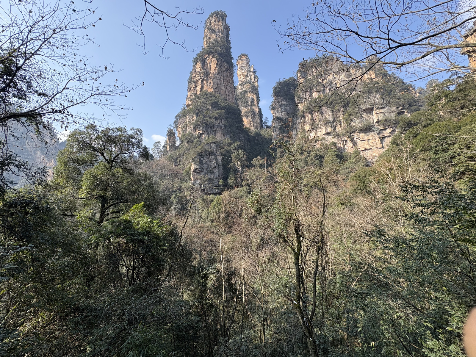 Picture China Zhangjiajie Tianzi Mountrain 2026-01 296 - Pictures Tianzi Mountrain