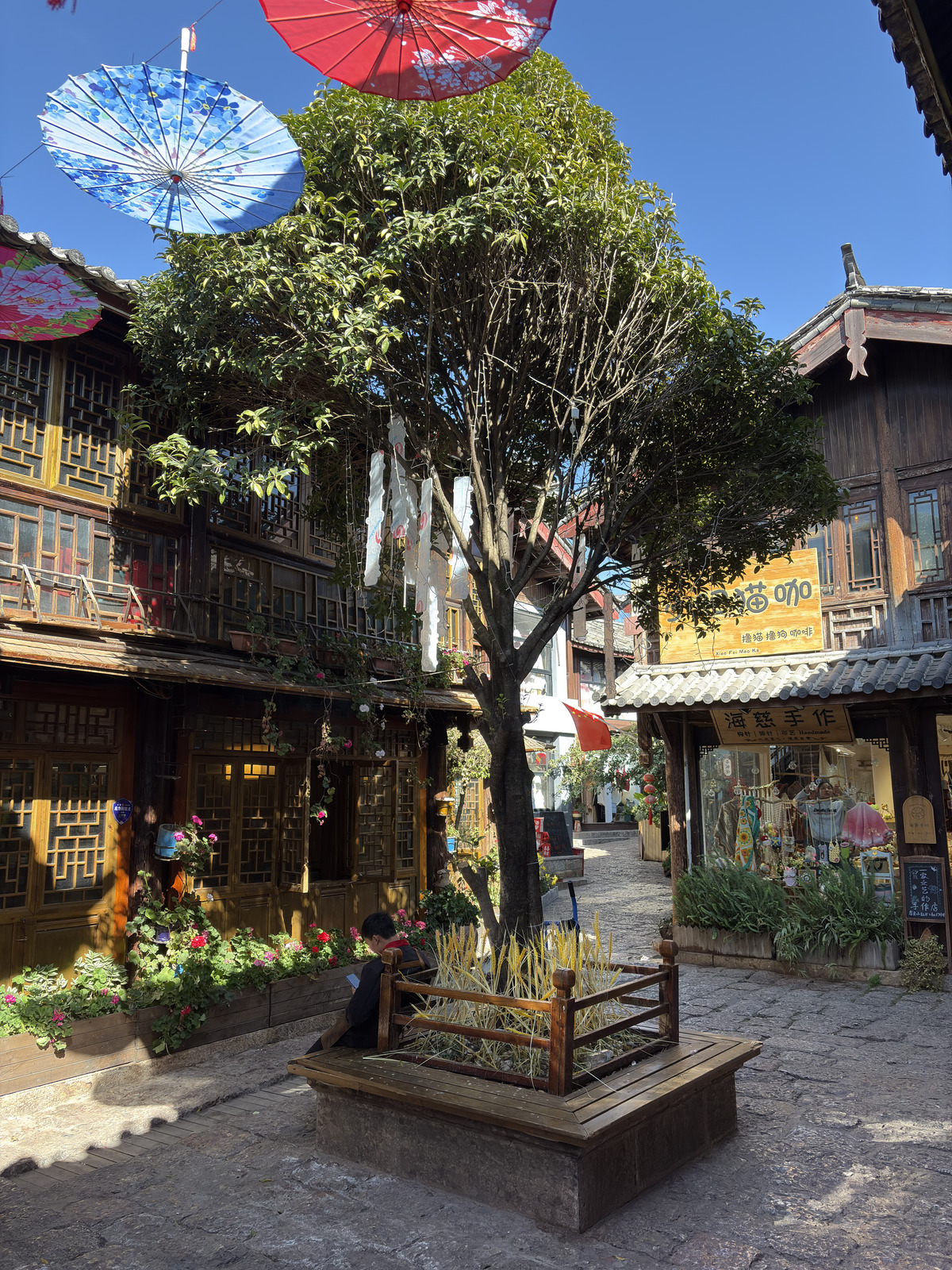Picture China Lijiang 2026-01 345 - Sightseeing Lijiang