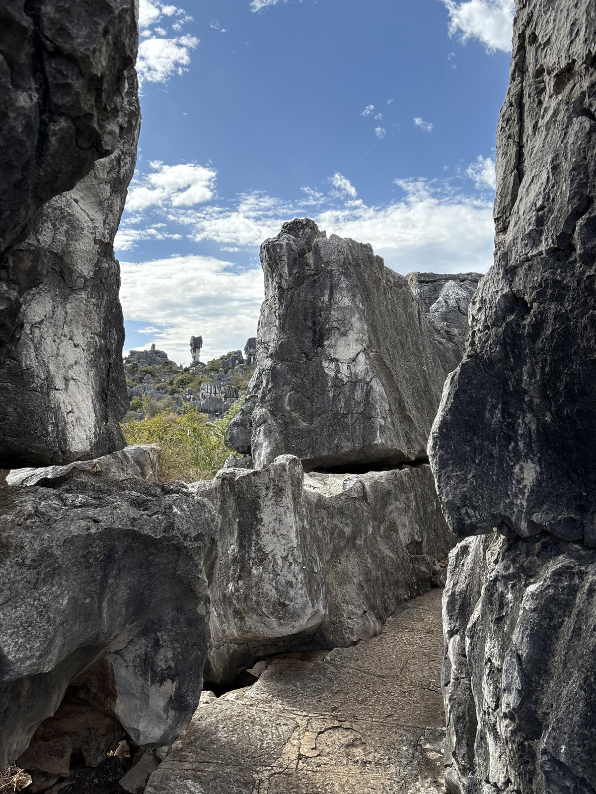 Picture China Shilin Stone Forest 2026-01 118 - Sightseeing Shilin Stone Forest