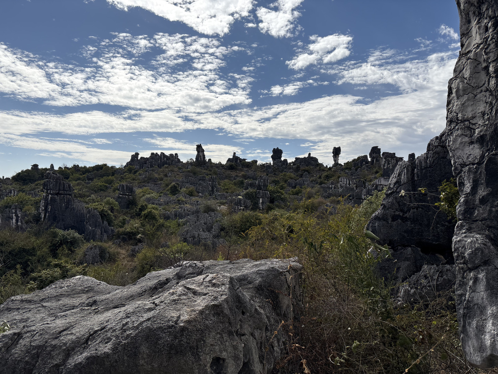Picture China Shilin Stone Forest 2026-01 258 - Trip Shilin Stone Forest