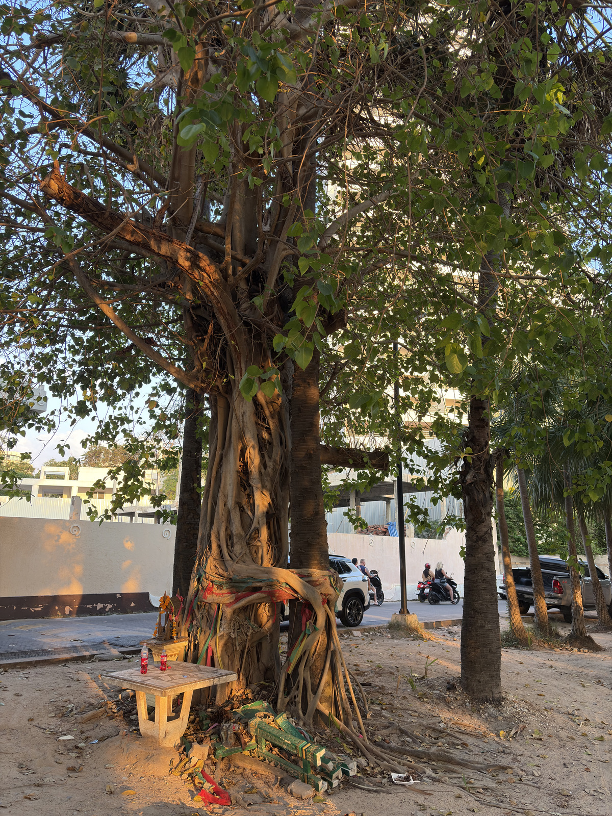 Picture Thailand Pattaya Dongtan beach 2025-12 32 - Store Dongtan beach