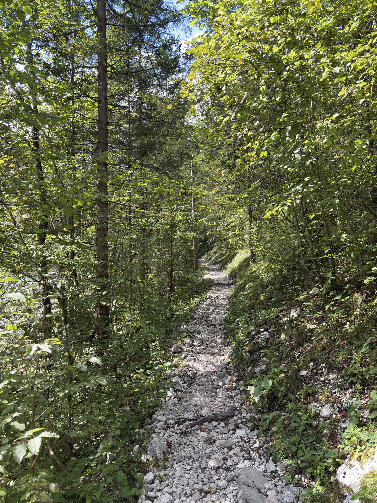 Picture Slovenia Soca River 2025-09 58 - Photo Soca River