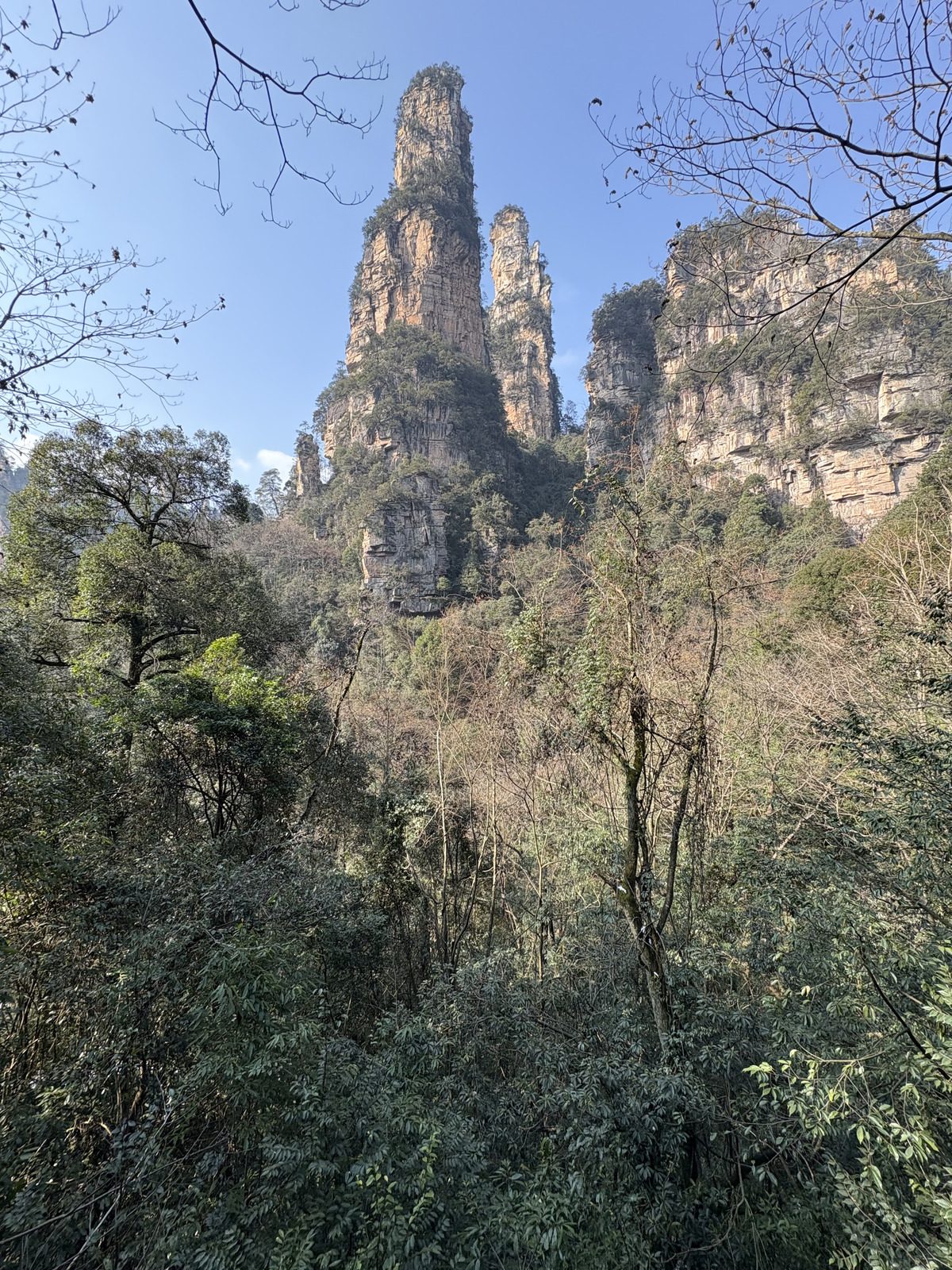 Picture China Zhangjiajie Tianzi Mountrain 2026-01 254 - Picture Tianzi Mountrain