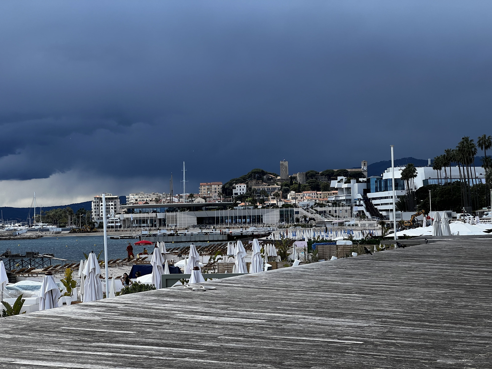 Picture France Cannes 2024-04 44 - Photos Cannes