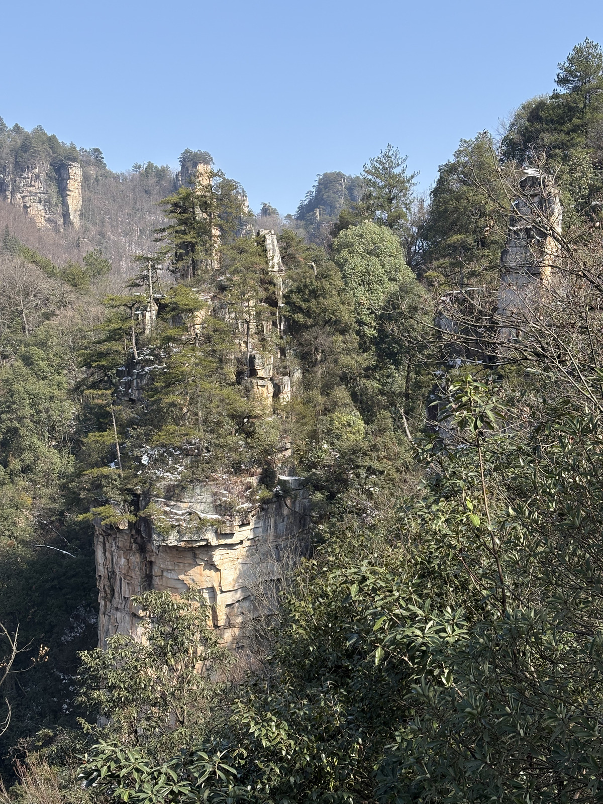 Picture China Zhangjiajie Tianzi Mountrain 2026-01 178 - Trip Tianzi Mountrain