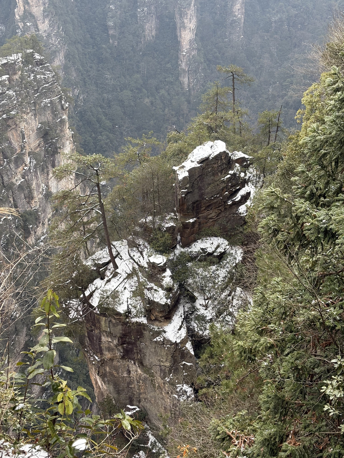 Picture China Zhangjiajie 2026-01 84 - Perspective Zhangjiajie