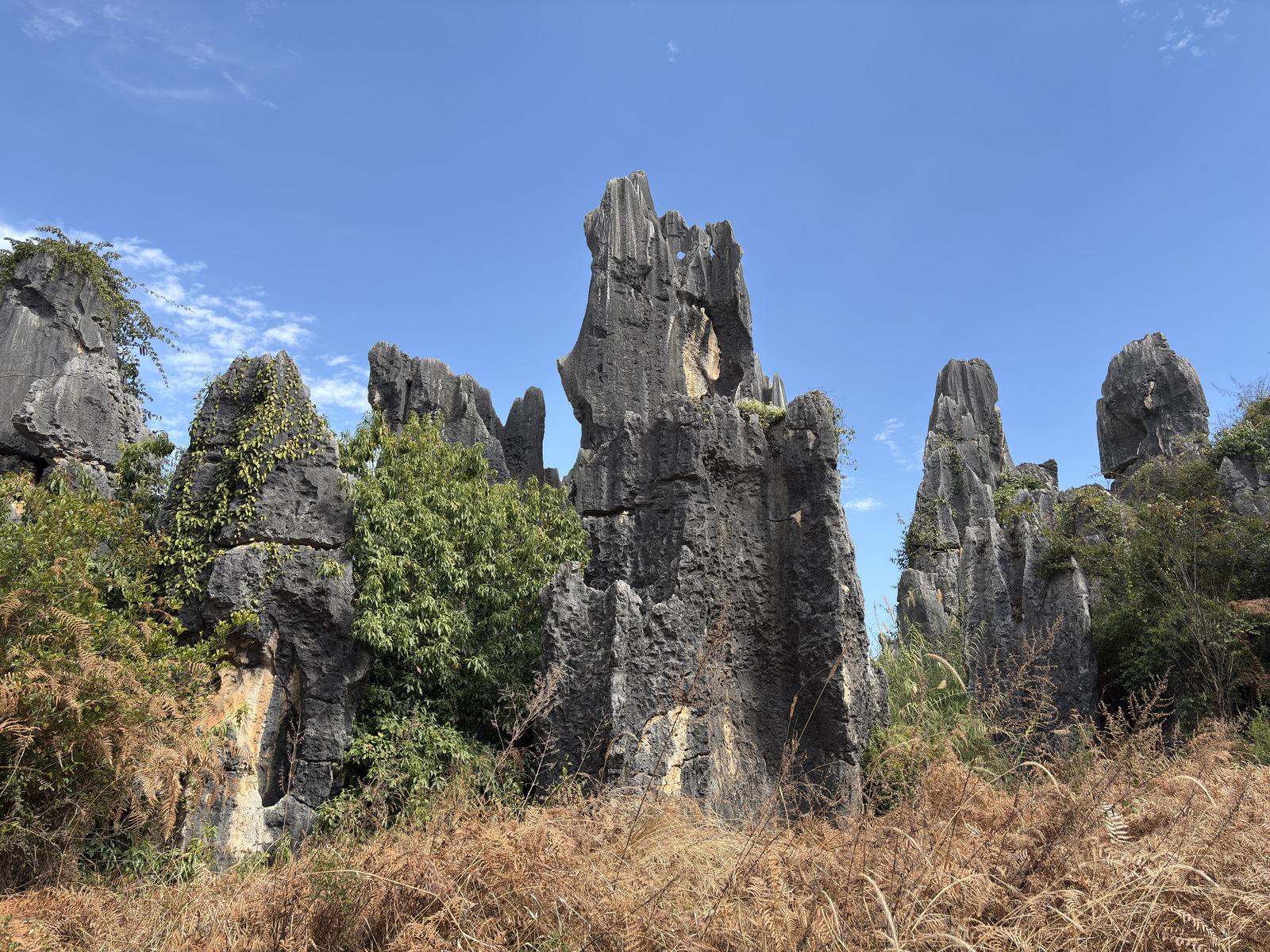 Picture China Shilin Stone Forest 2026-01 381 - Perspective Shilin Stone Forest