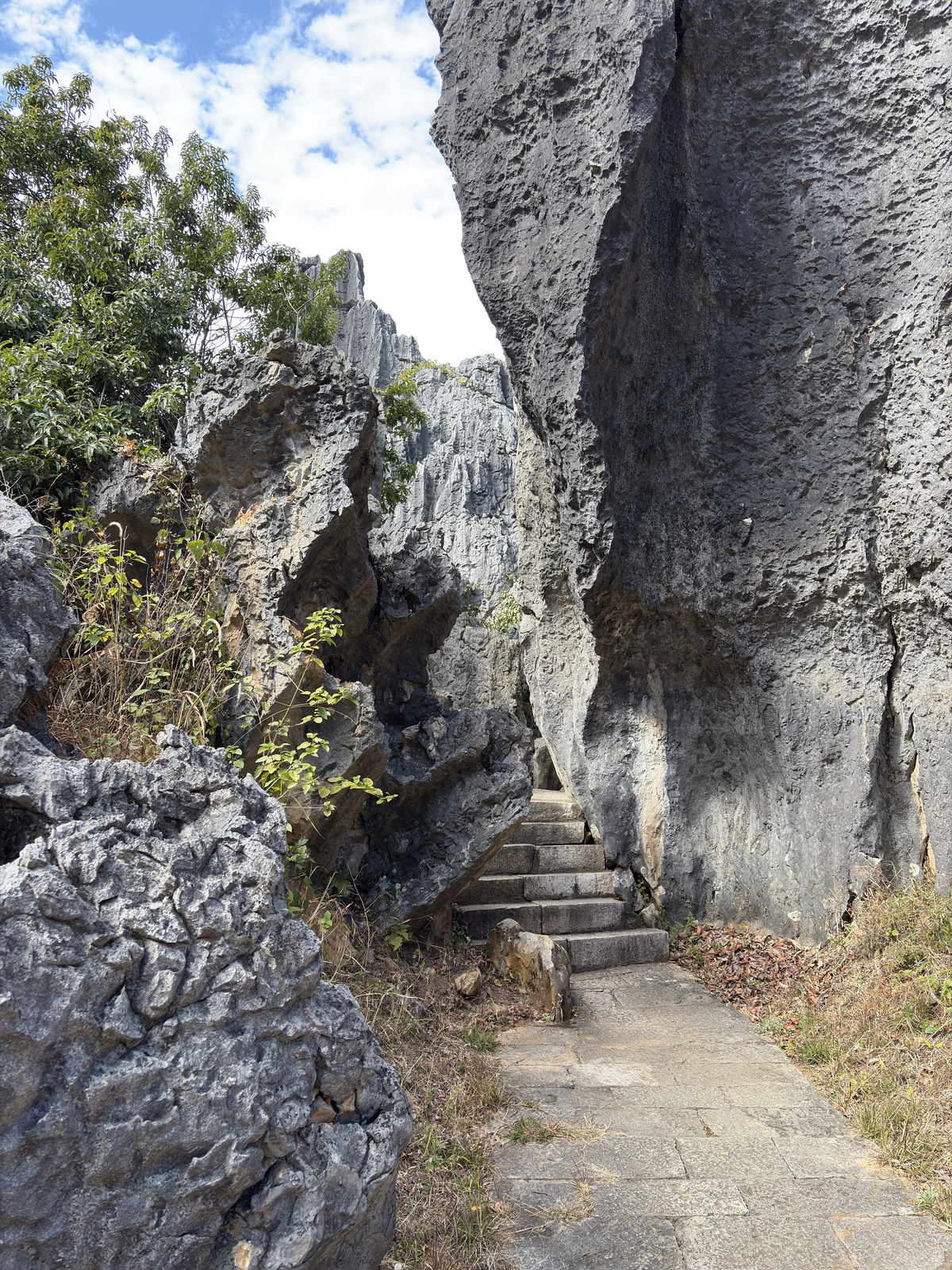 Picture China Shilin Stone Forest 2026-01 318 - Photographer Shilin Stone Forest