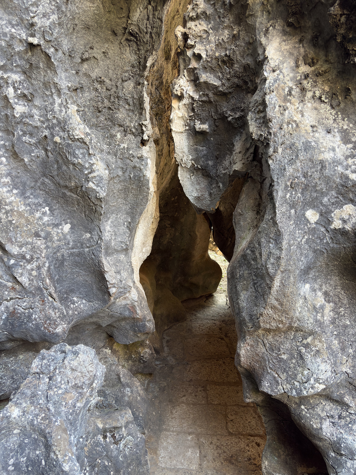 Picture China Shilin Stone Forest 2026-01 101 - Pictures Shilin Stone Forest