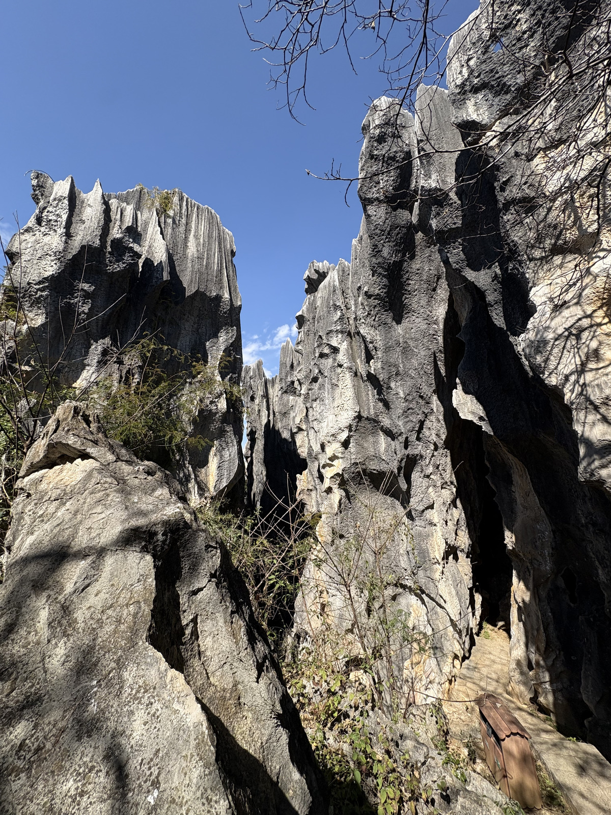 Picture China Shilin Stone Forest 2026-01 185 - Sight Shilin Stone Forest