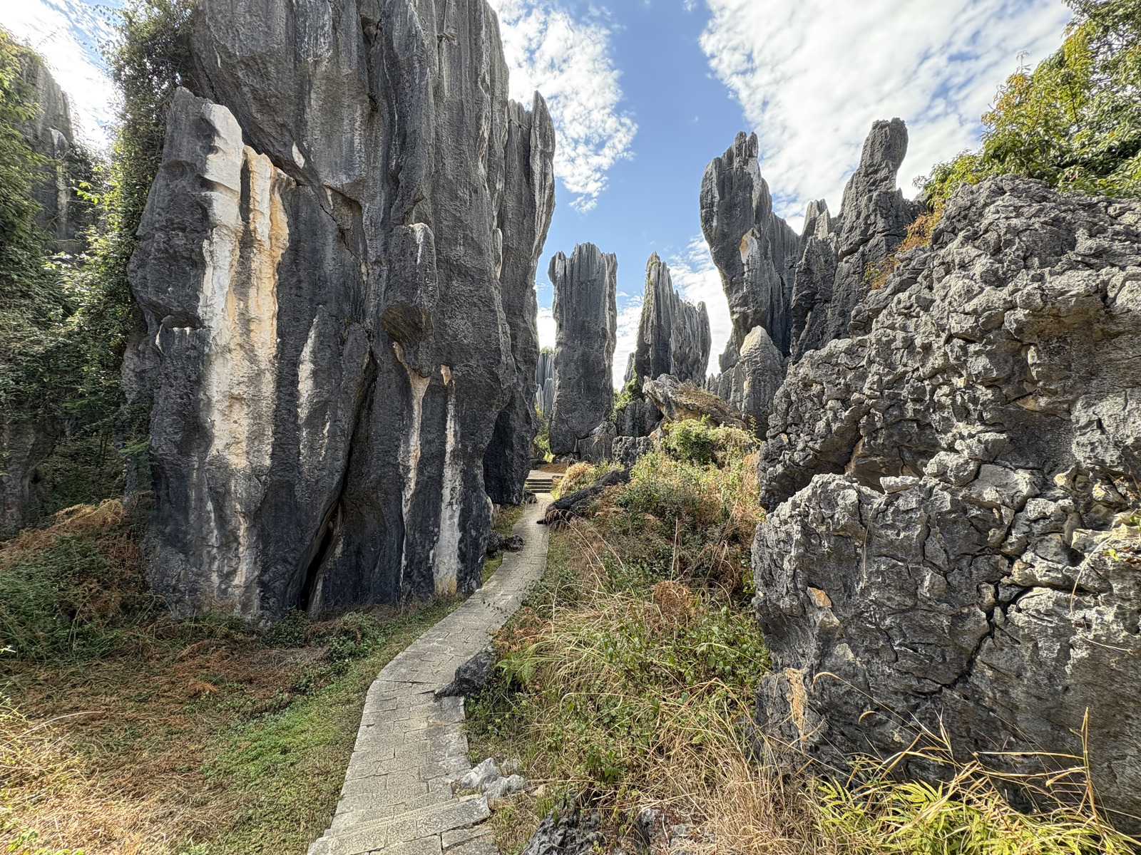 Picture China Shilin Stone Forest 2026-01 9 - Views Shilin Stone Forest