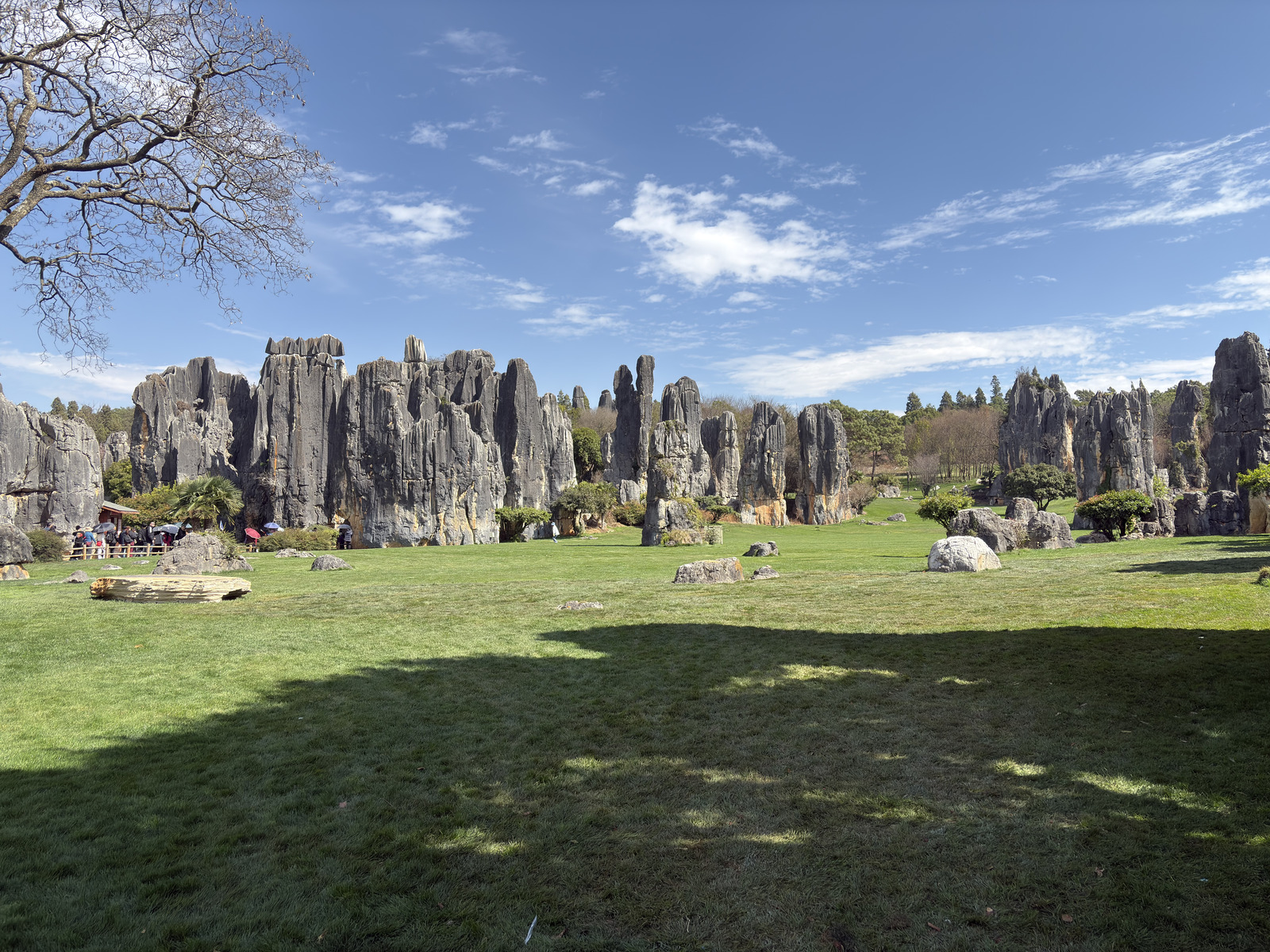 Picture China Shilin Stone Forest 2026-01 309 - Discover Shilin Stone Forest