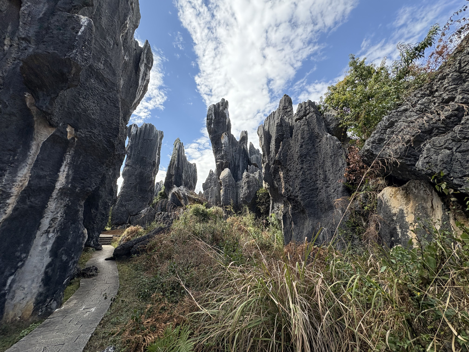 Picture China Shilin Stone Forest 2026-01 162 - Journey Shilin Stone Forest