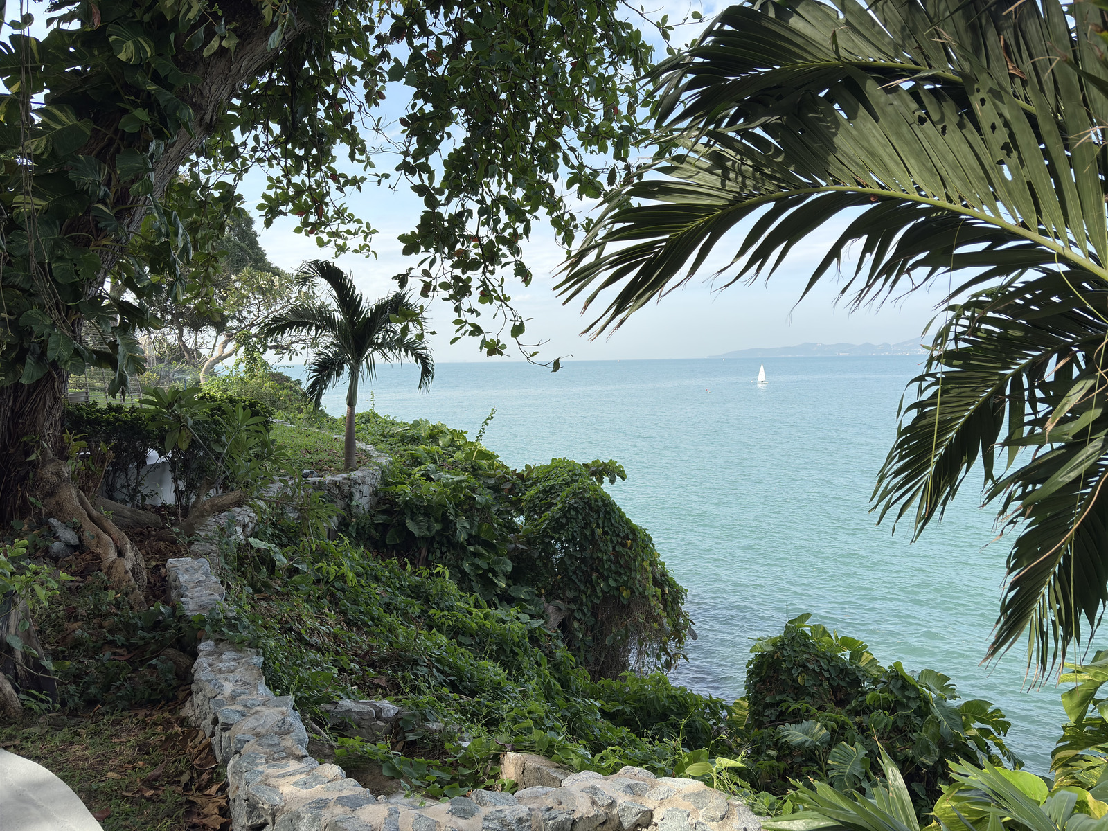 Picture Thailand Pattaya 2024-12 12 - Photos Pattaya