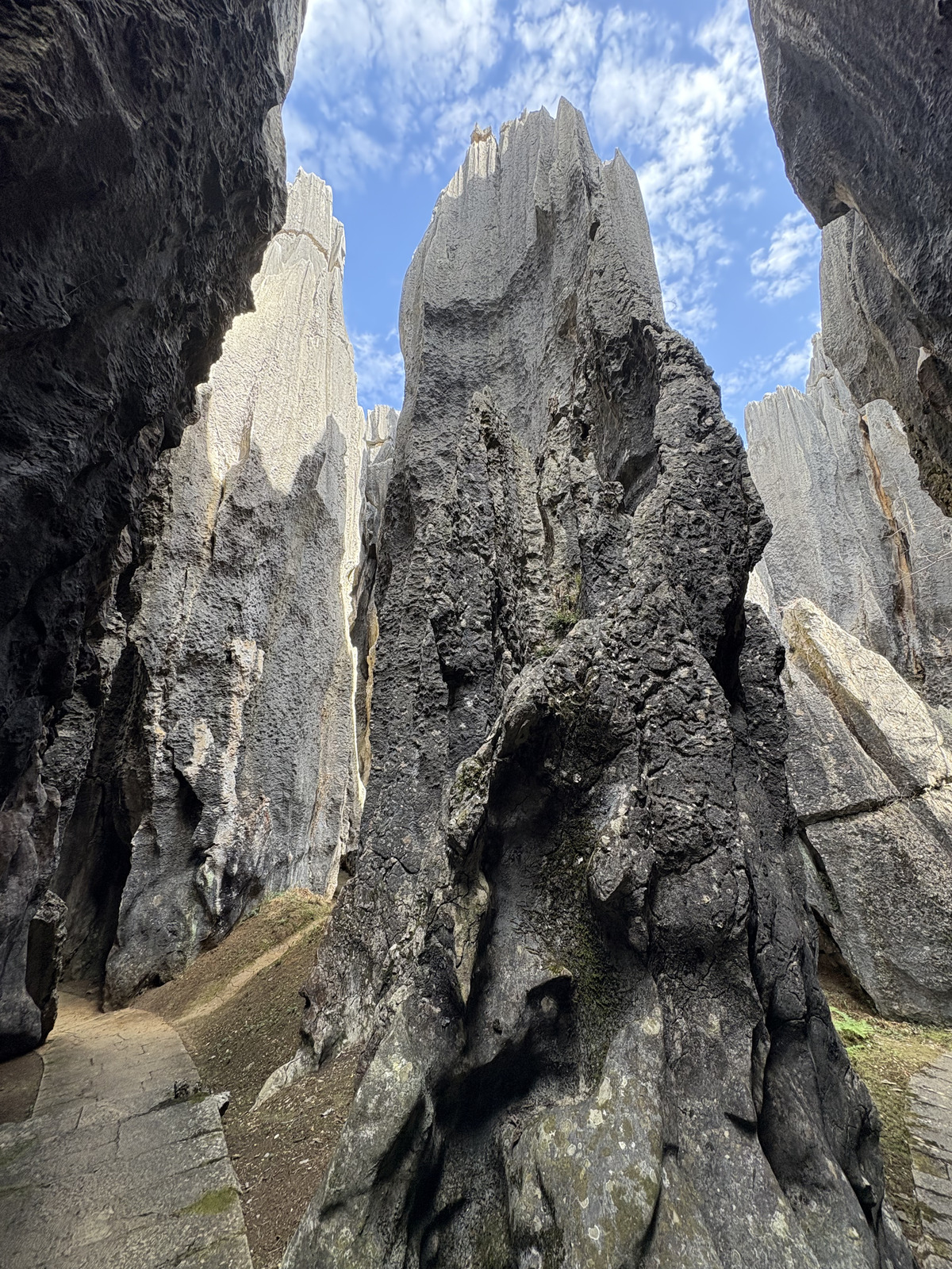 Picture China Shilin Stone Forest 2026-01 260 - Picture Shilin Stone Forest