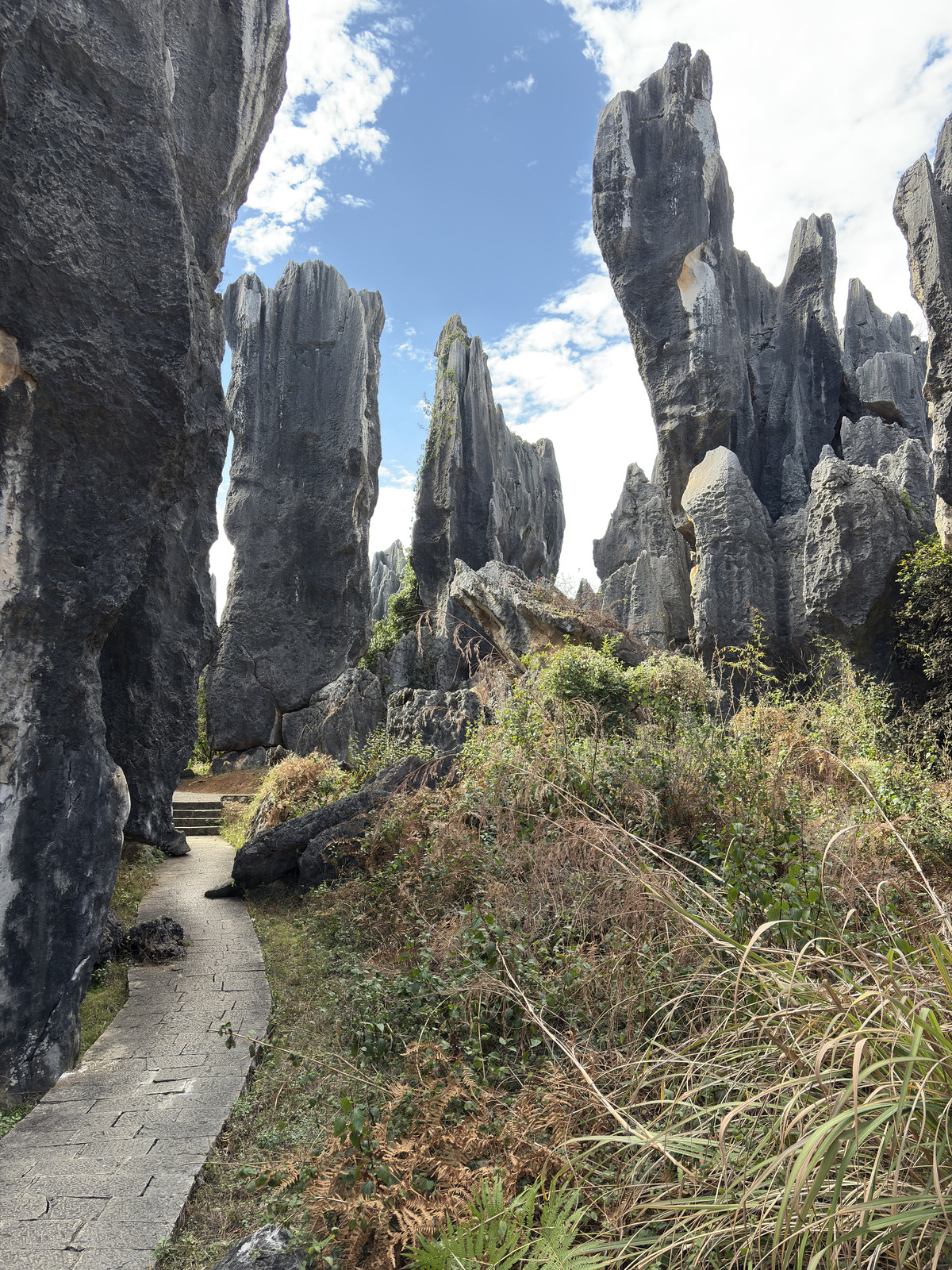 Picture China Shilin Stone Forest 2026-01 264 - Views Shilin Stone Forest