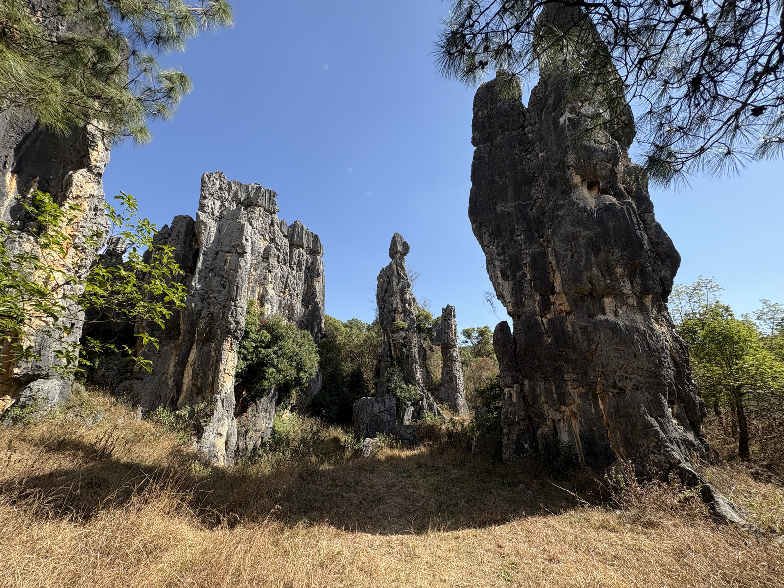 Picture China Shilin Stone Forest 2026-01 61 - Sight Shilin Stone Forest