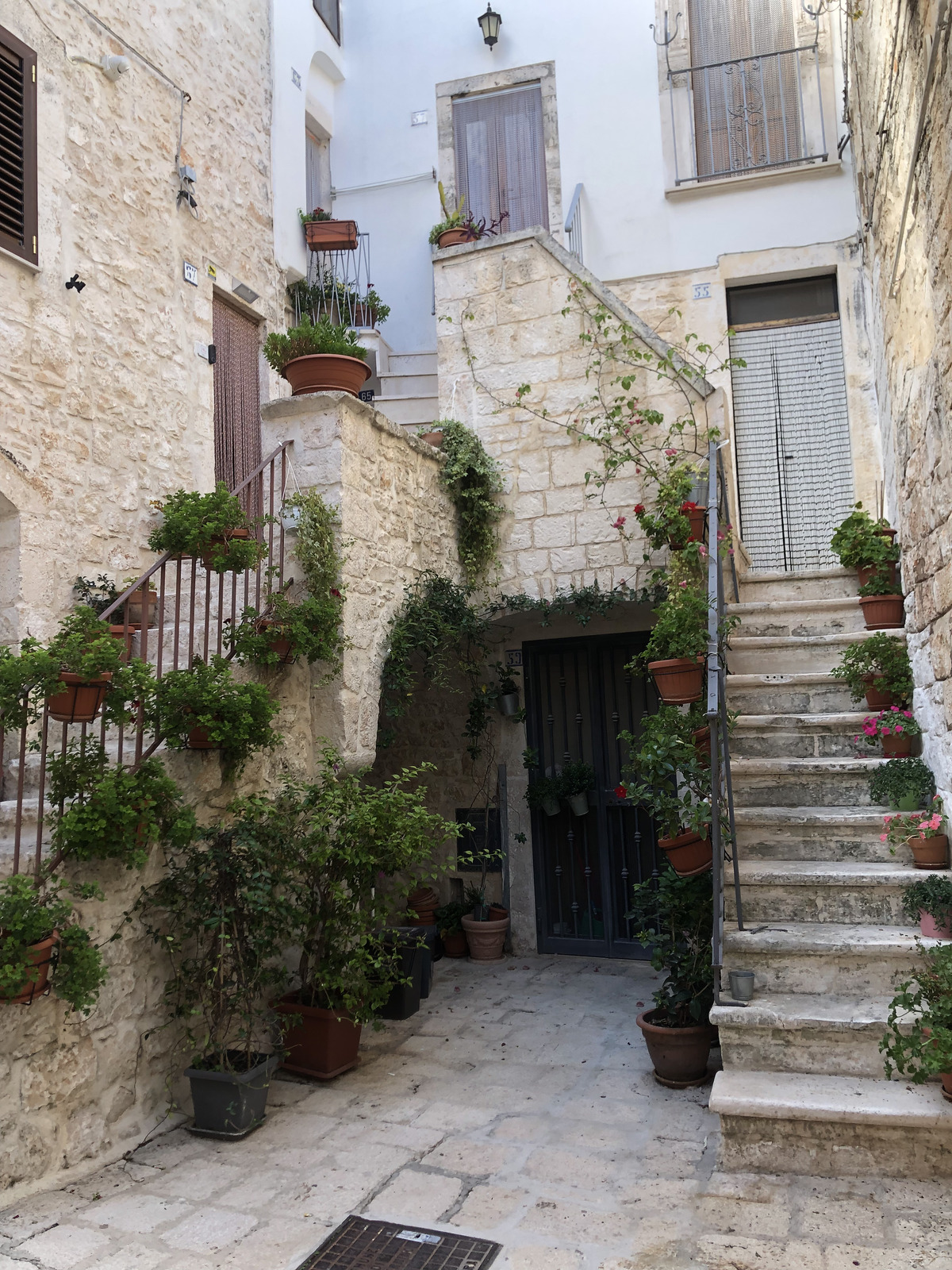 Picture Italy Cisternino 2024-09 15 - Pictures Cisternino