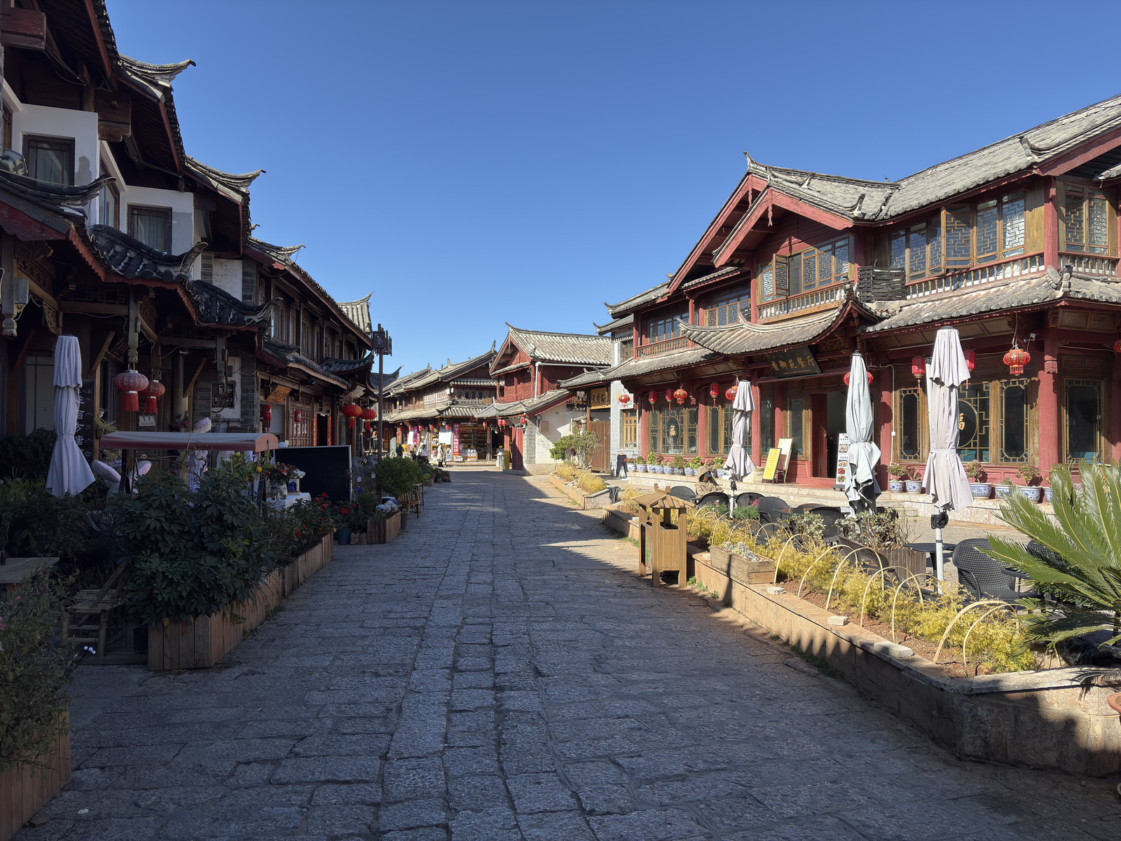 Picture China Lijiang 2026-01 500 - Photographers Lijiang
