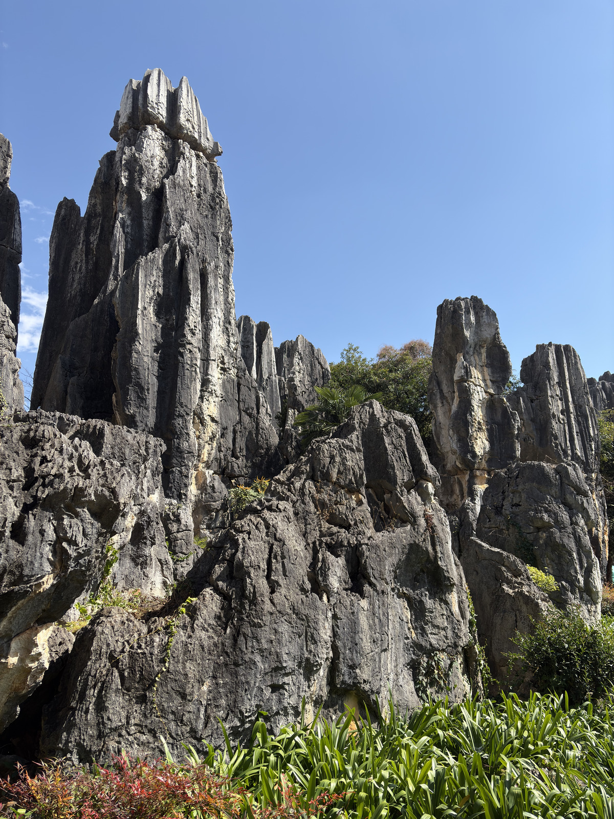 Picture China Shilin Stone Forest 2026-01 117 - Photographers Shilin Stone Forest