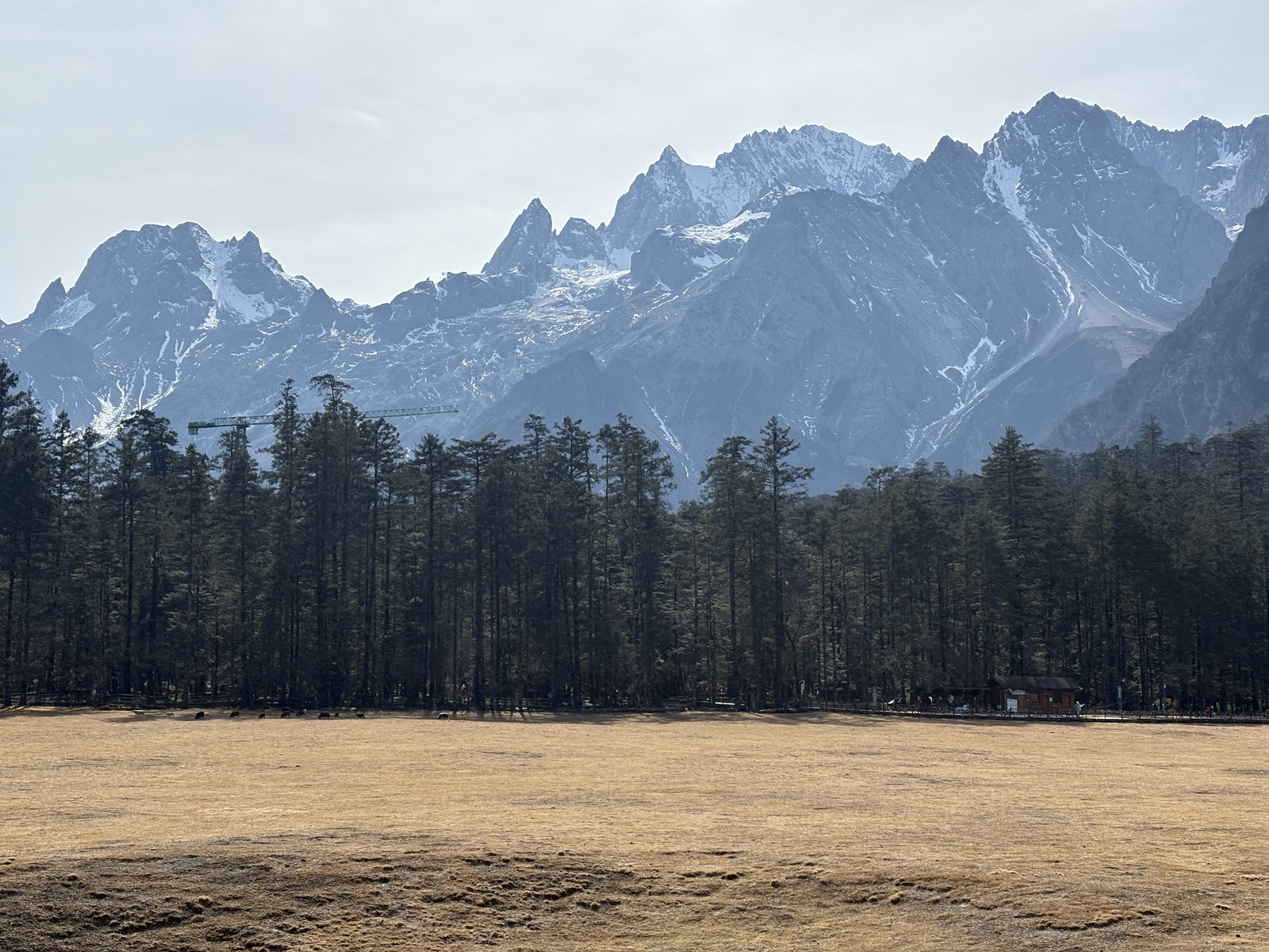 Picture China Lijiang Blue moon valley 2026-01 125 - Sightseeing Blue moon valley