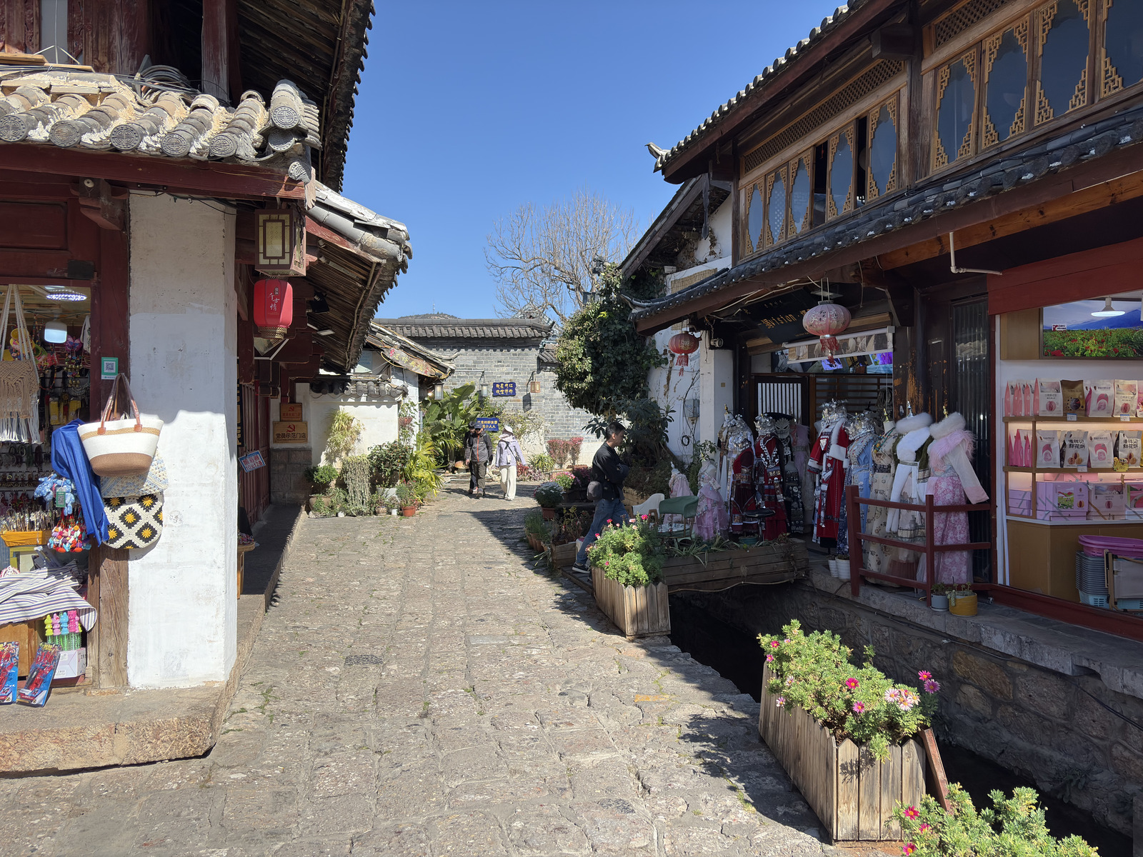 Picture China Lijiang 2026-01 273 - Photos Lijiang