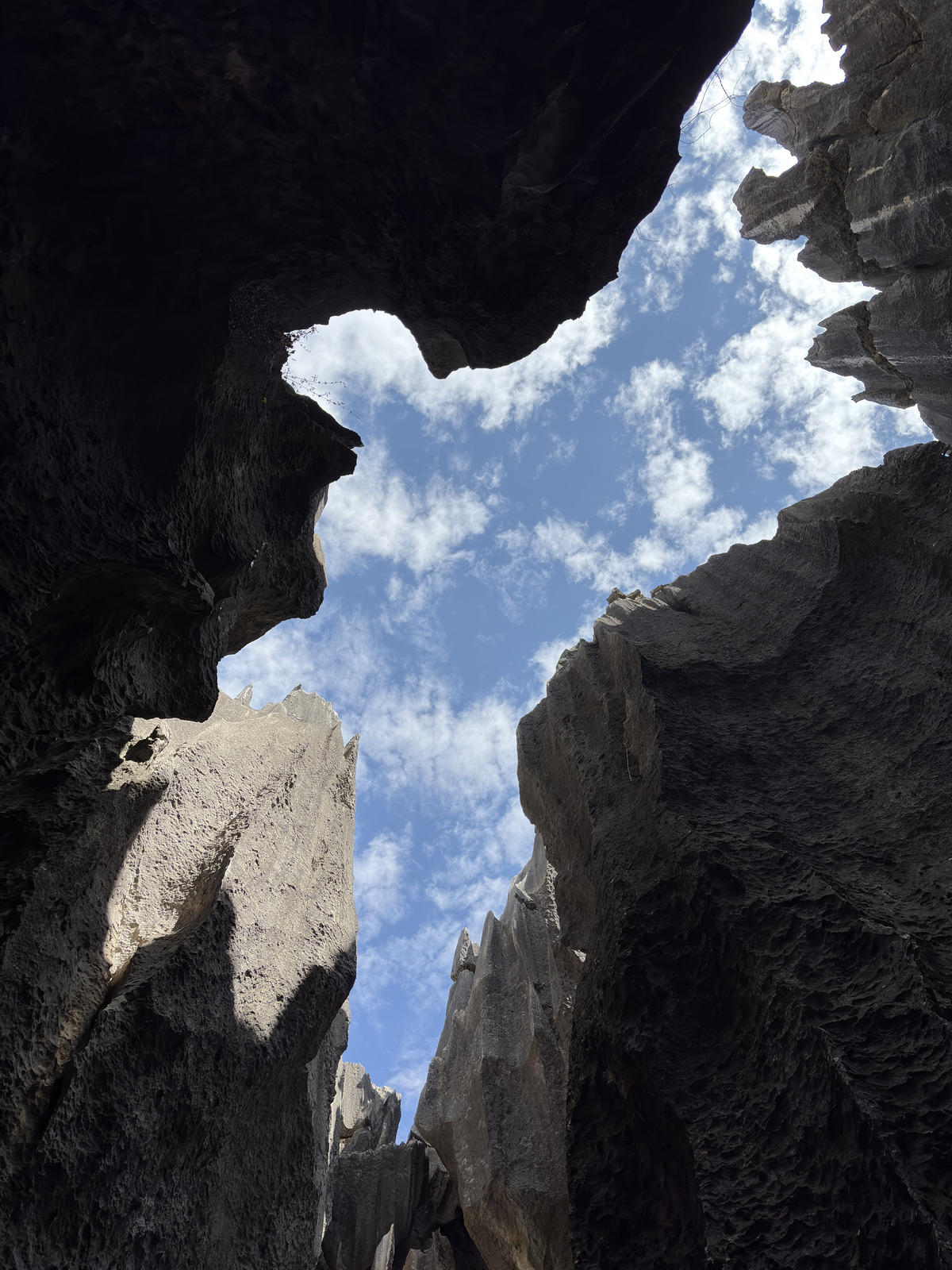 Picture China Shilin Stone Forest 2026-01 165 - Perspective Shilin Stone Forest