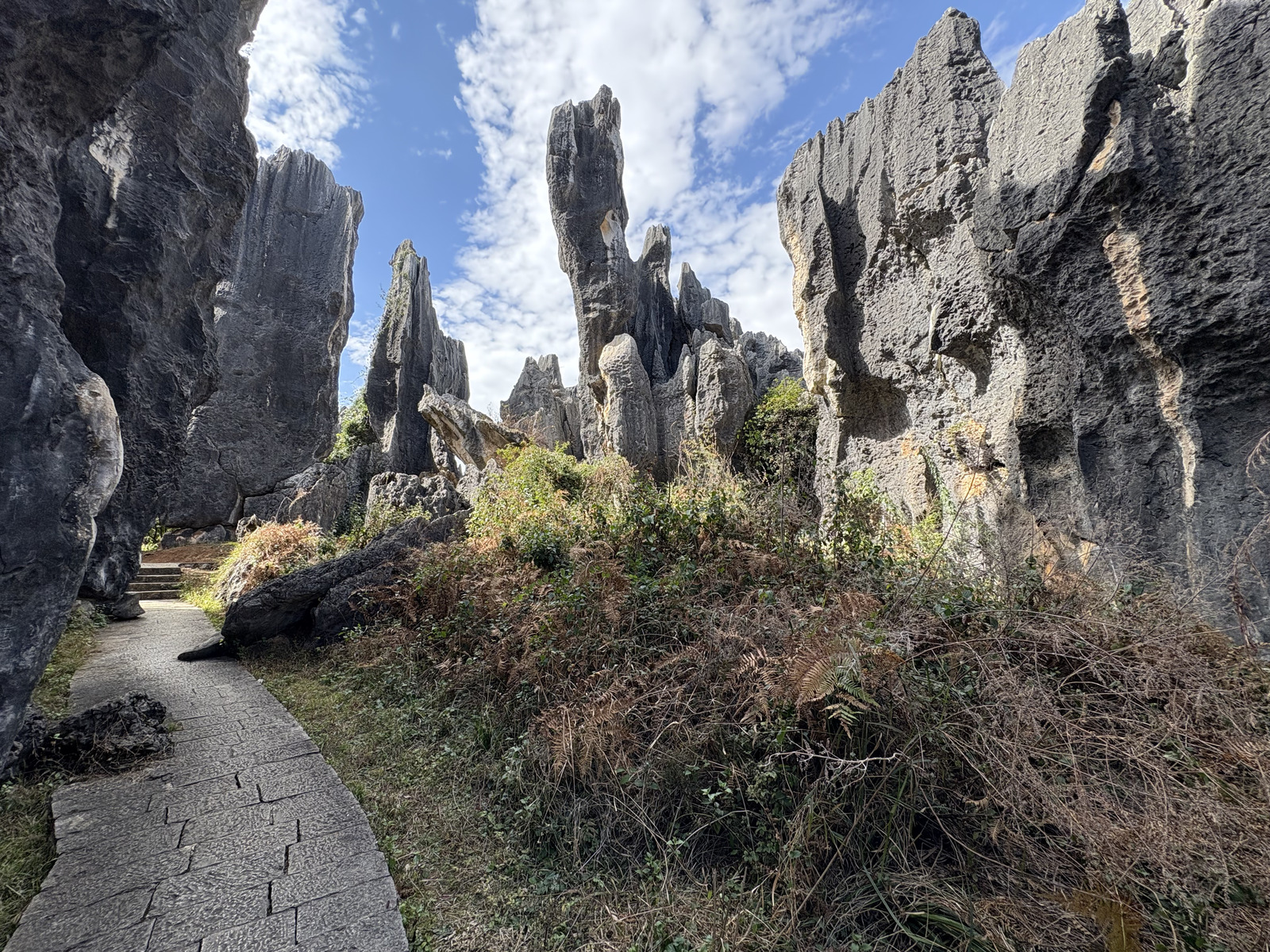 Picture China Shilin Stone Forest 2026-01 184 - Views Shilin Stone Forest