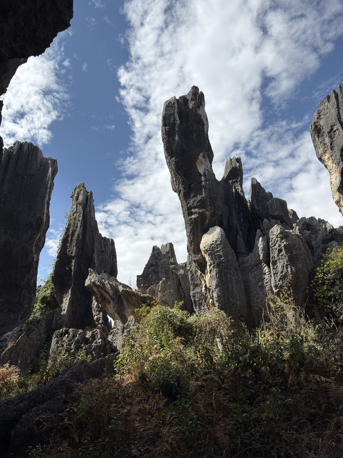 Picture China Shilin Stone Forest 2026-01 104 - Trip Shilin Stone Forest
