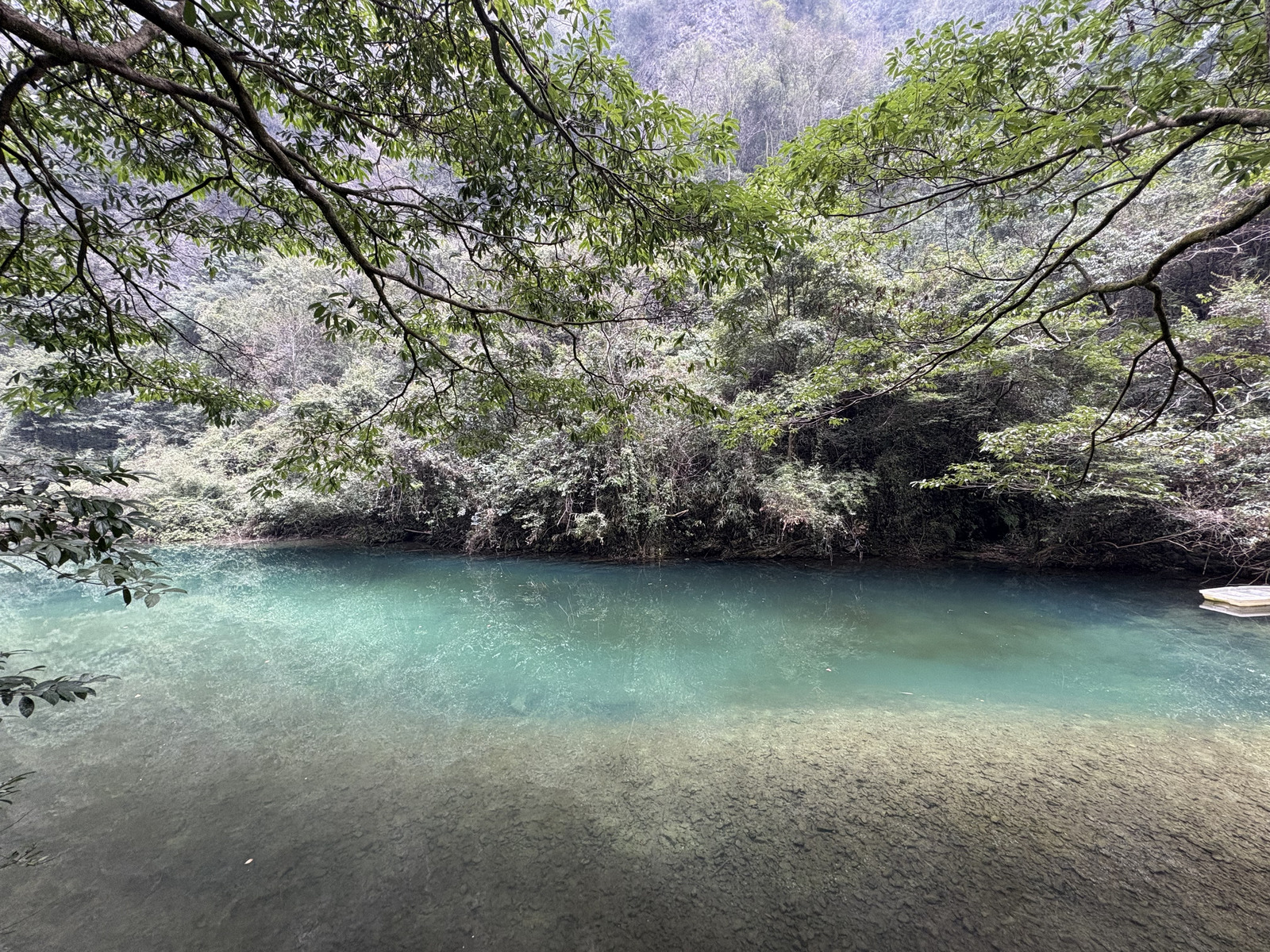 Picture China Zhangjiajie Grand Canion 2026-01 46 - Trip Grand Canion