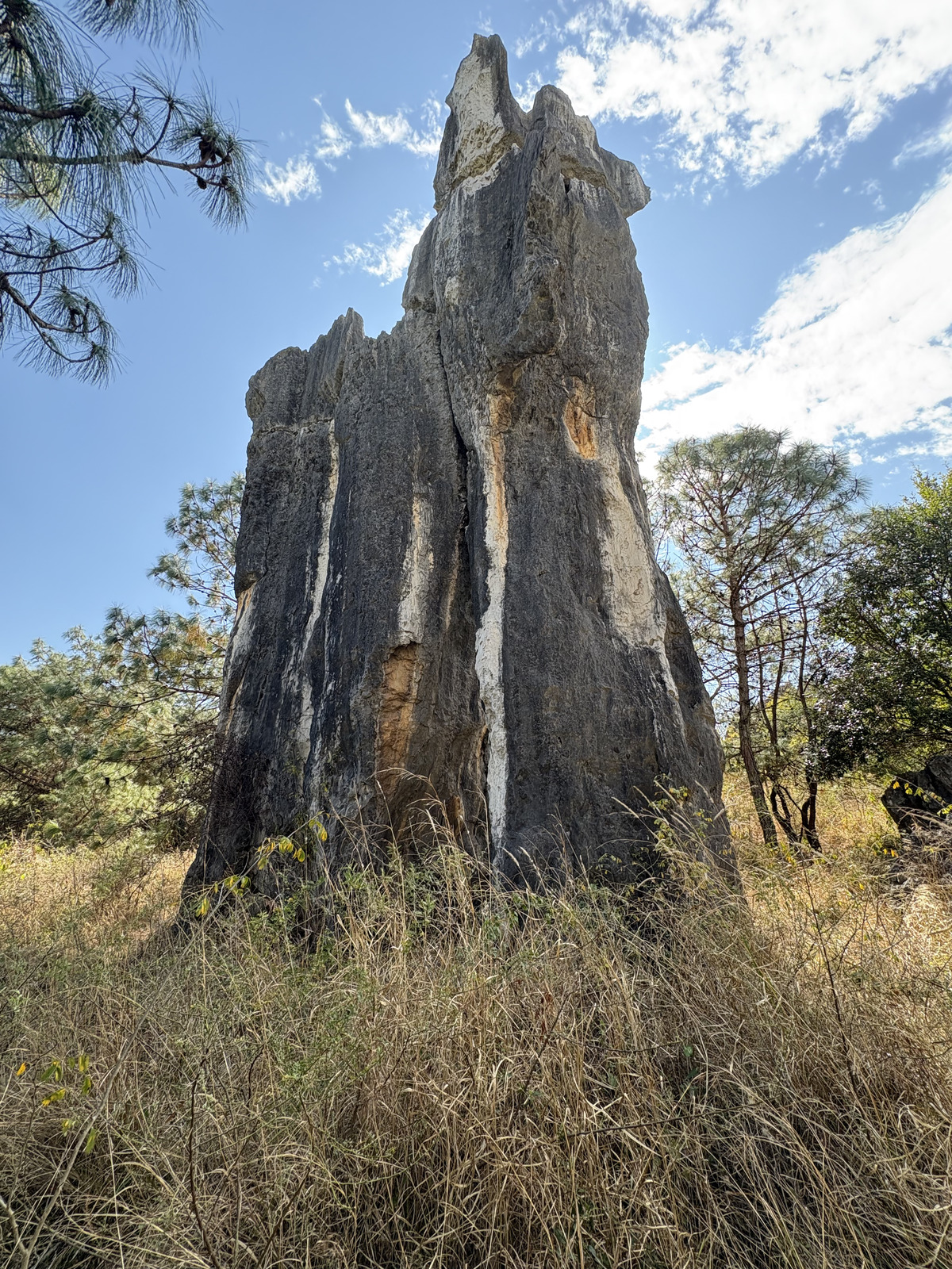 Picture China Shilin Stone Forest 2026-01 344 - Car Rental Shilin Stone Forest
