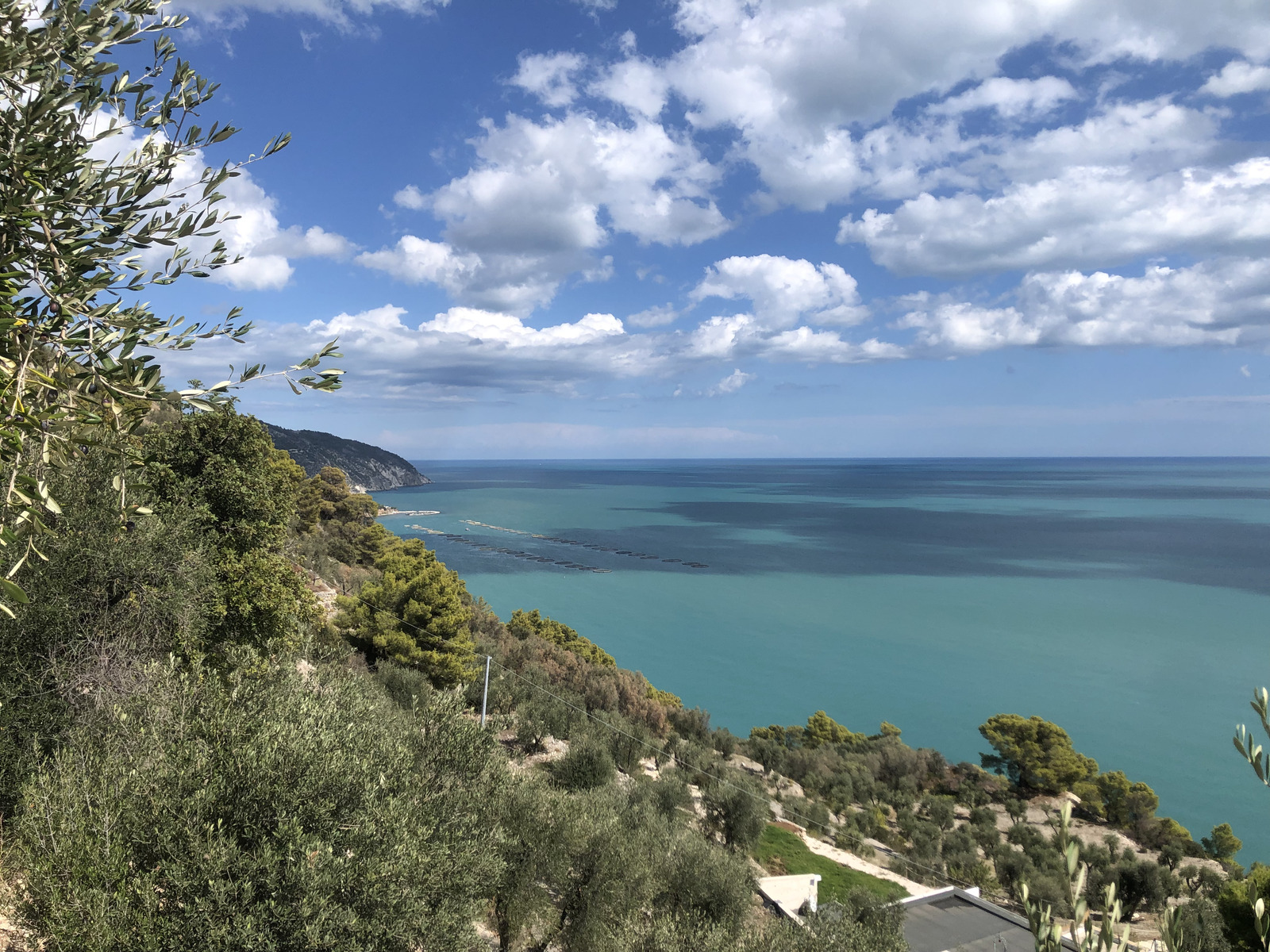 Picture Italy Gargano 2024-09 67 - Pictures Gargano