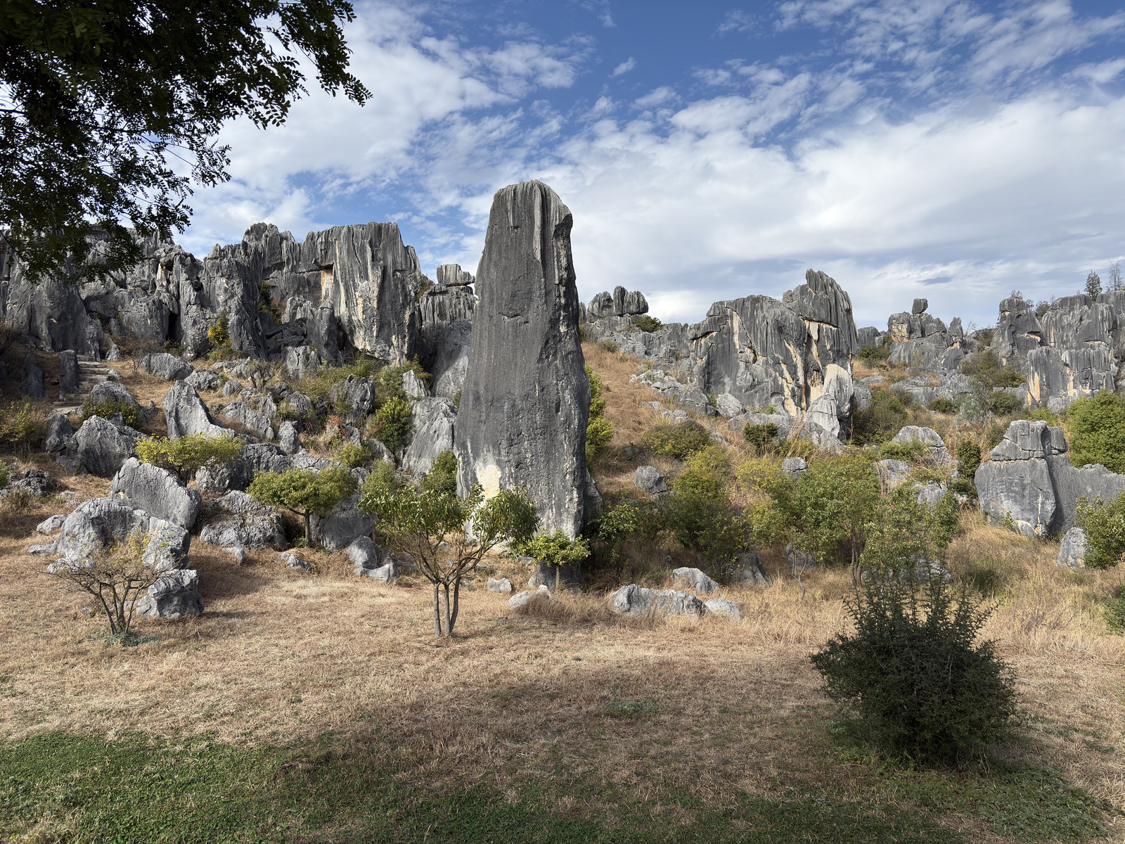 Picture China Shilin Stone Forest 2026-01 234 - Picture Shilin Stone Forest