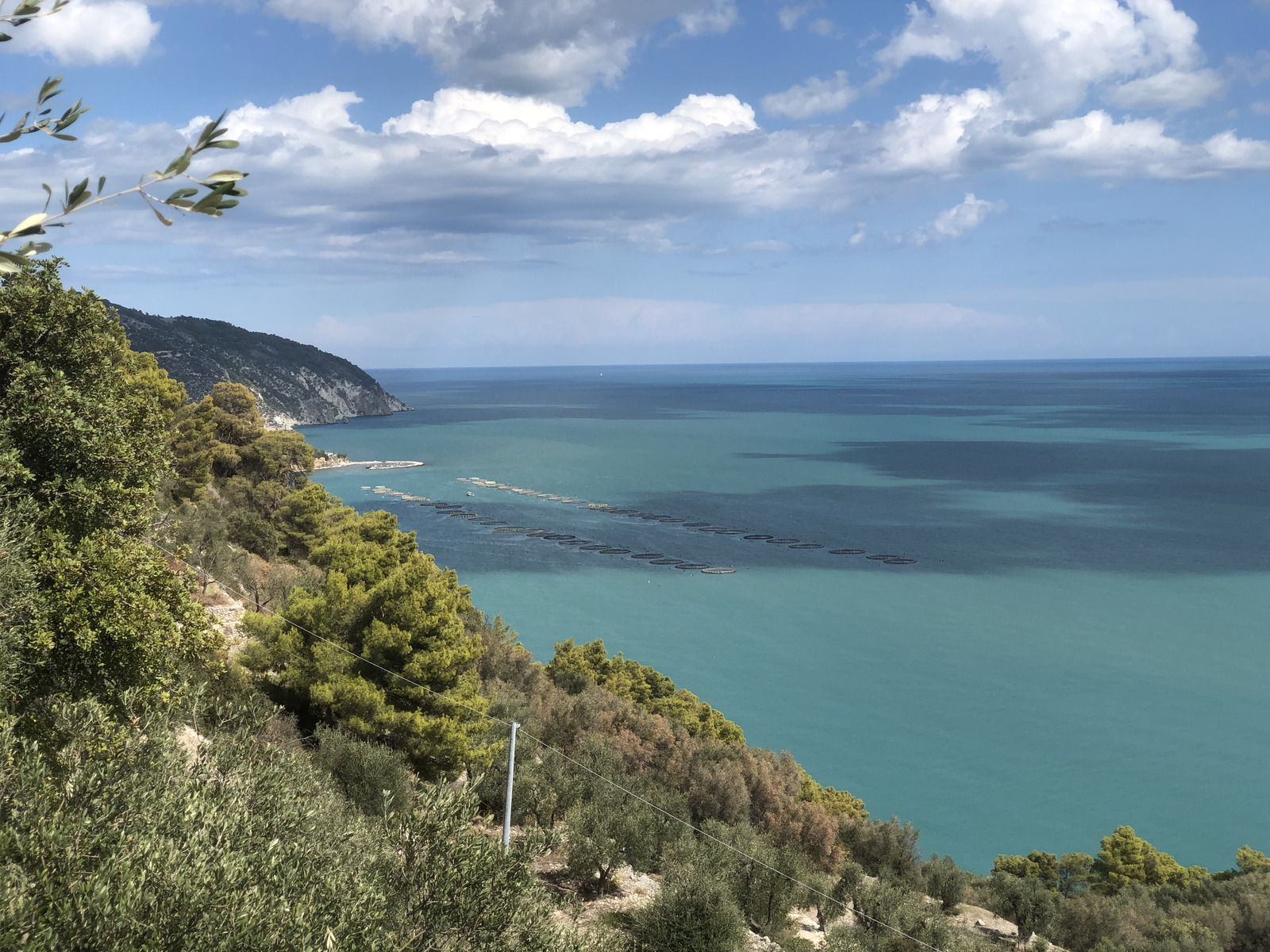Picture Italy Gargano 2024-09 69 - Photos Gargano