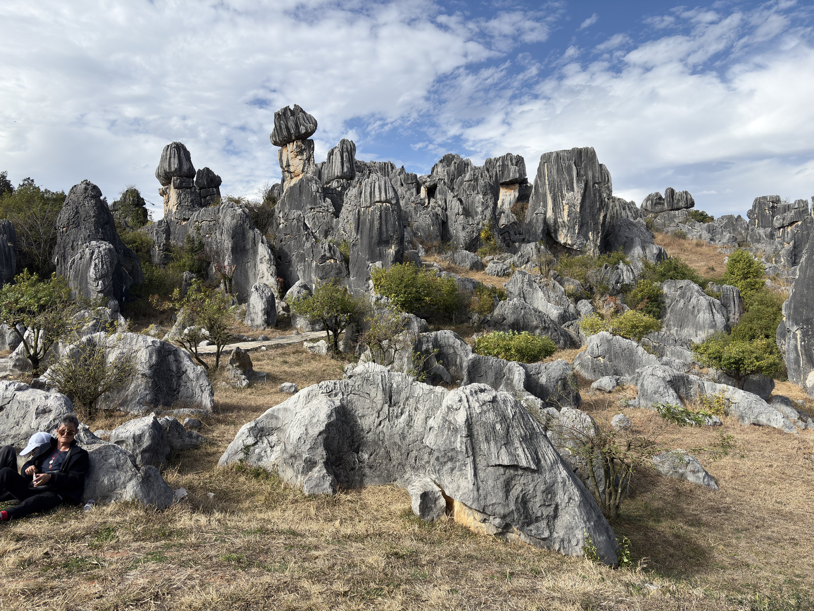 Picture China Shilin Stone Forest 2026-01 153 - Flight Shilin Stone Forest