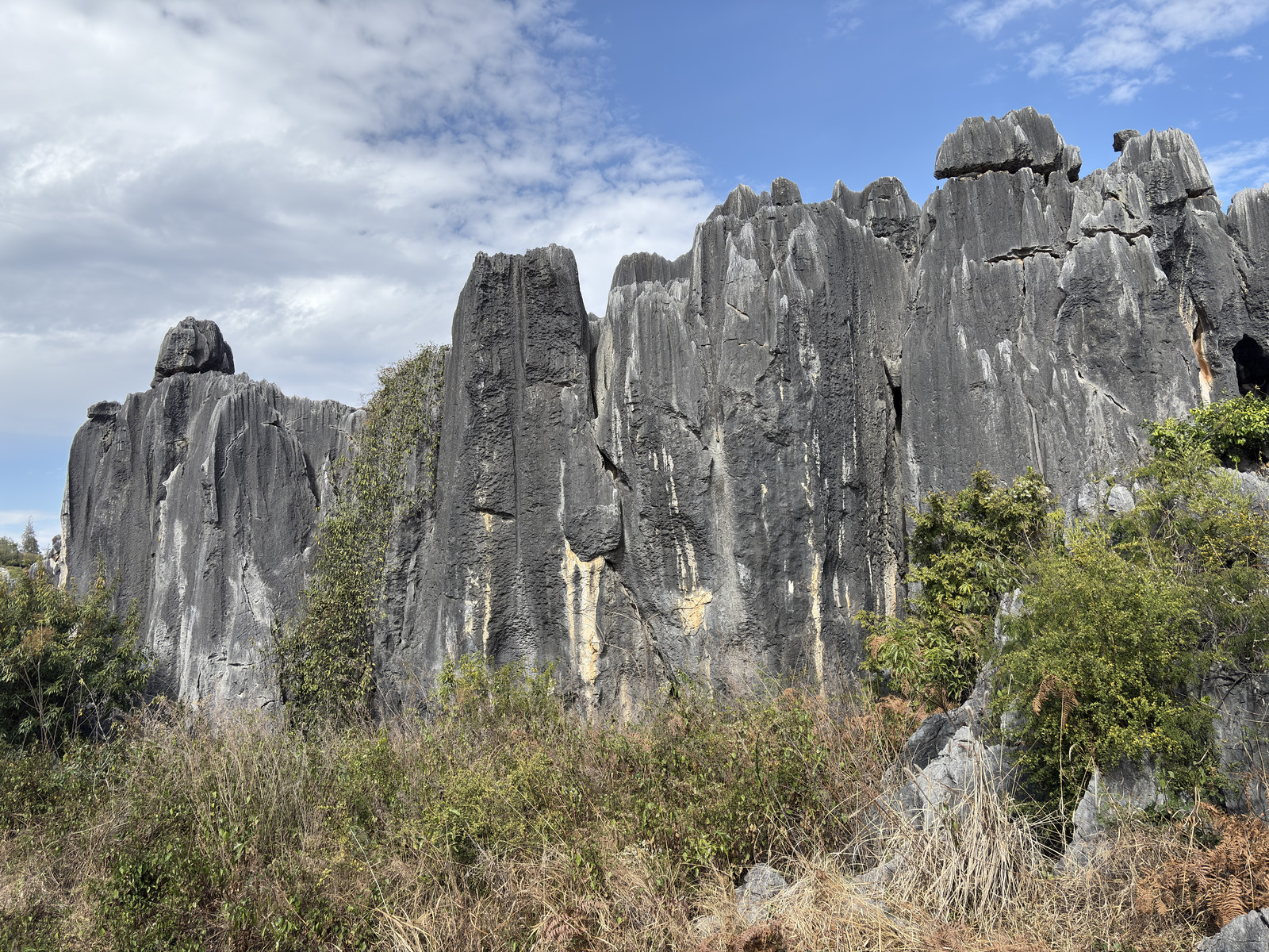 Picture China Shilin Stone Forest 2026-01 378 - Flights Shilin Stone Forest