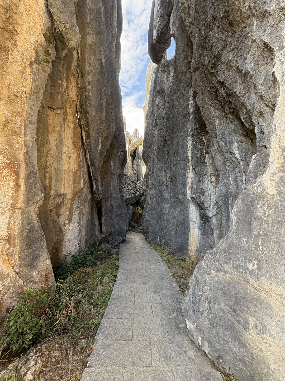 Picture China Shilin Stone Forest 2026-01 187 - Sight Shilin Stone Forest